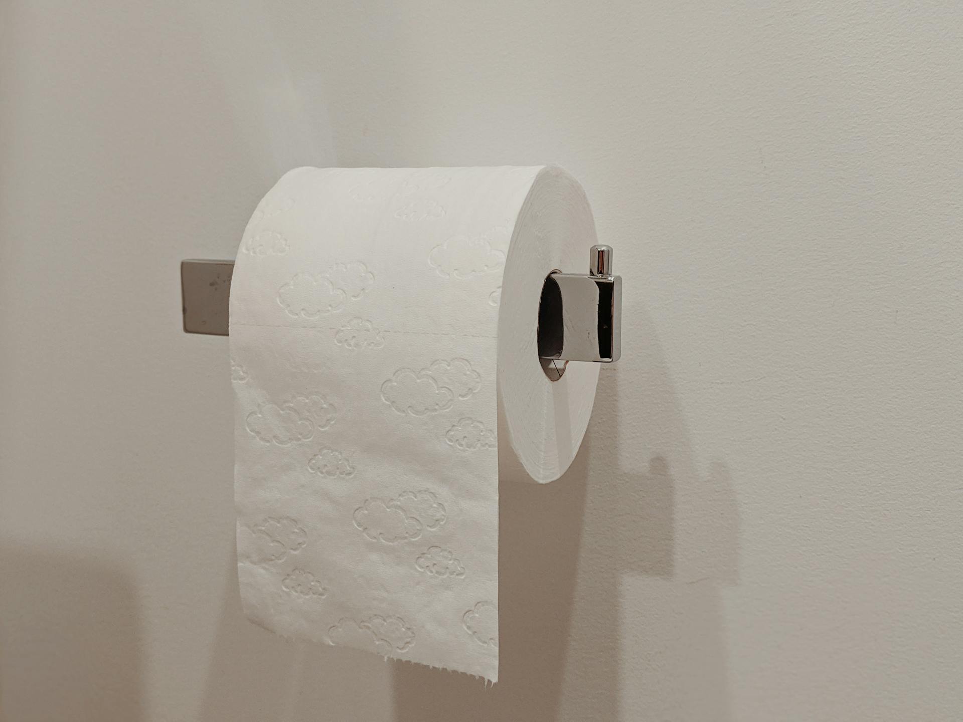 Eine Rolle Toilettenpapier | Quelle: Pexels