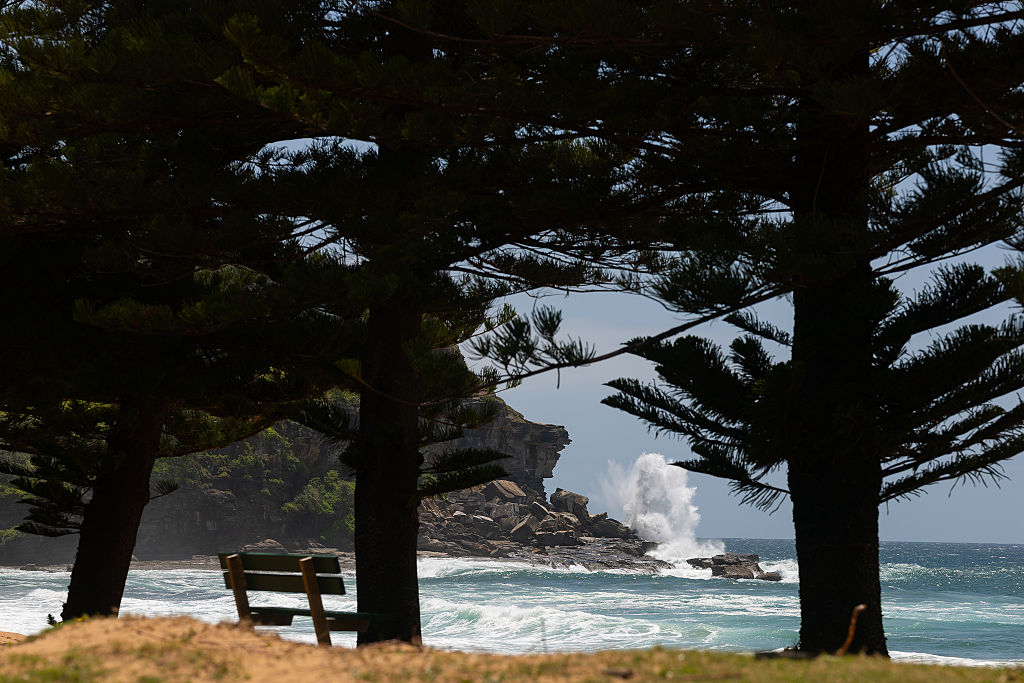 Symbolbild  | Quelle: Getty Images