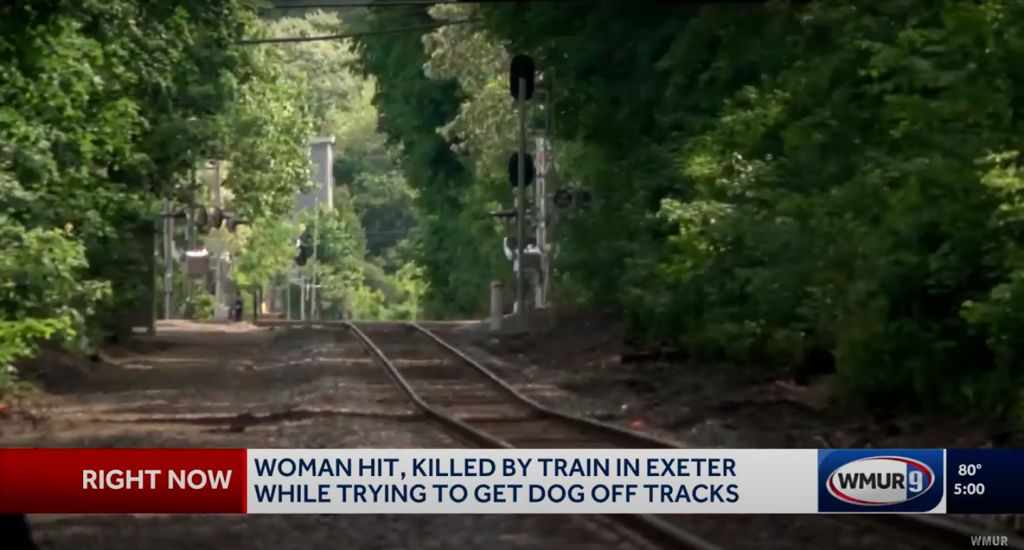 Ein Blick auf das bewaldete Gebiet in der Nähe der Newfields Road Trestle, aufgenommen am 3. Juni 2025. | Quelle: YouTube/WMUR-TV