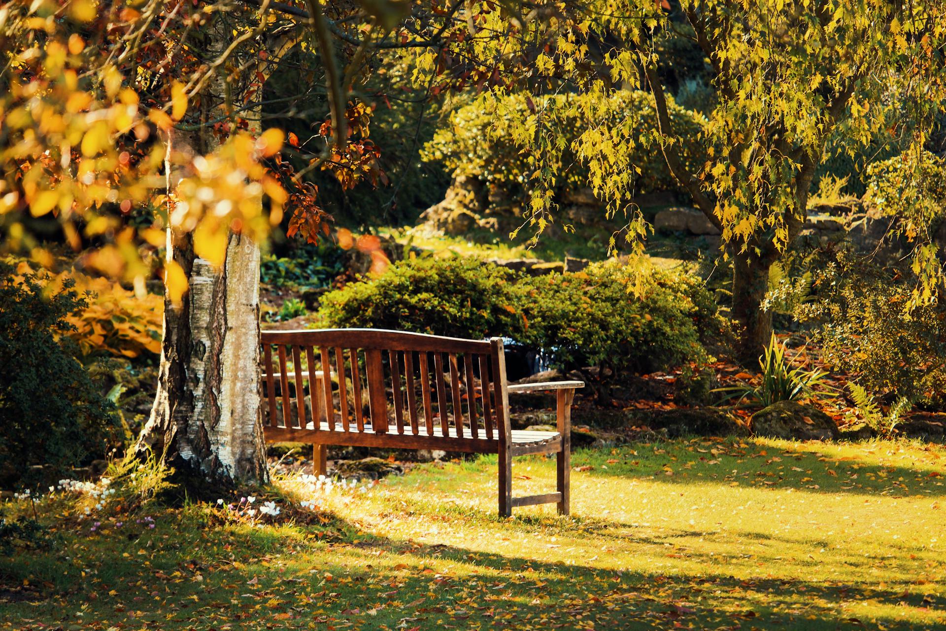 Eine Bank in einem Garten | Quelle: Pexels