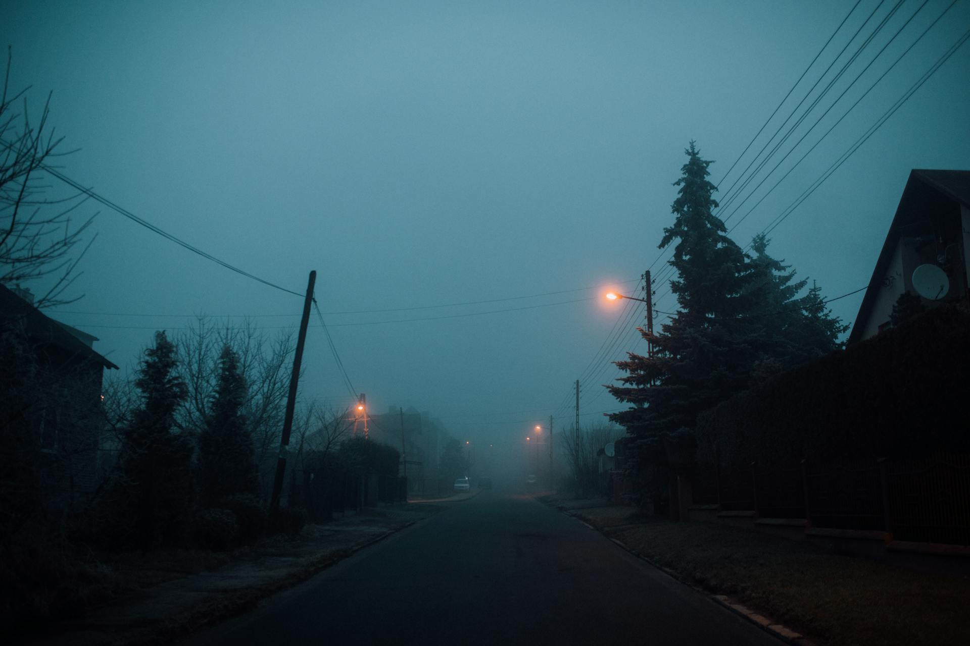Eine Vorstadtstraße bei Nacht | Quelle: Pexels
