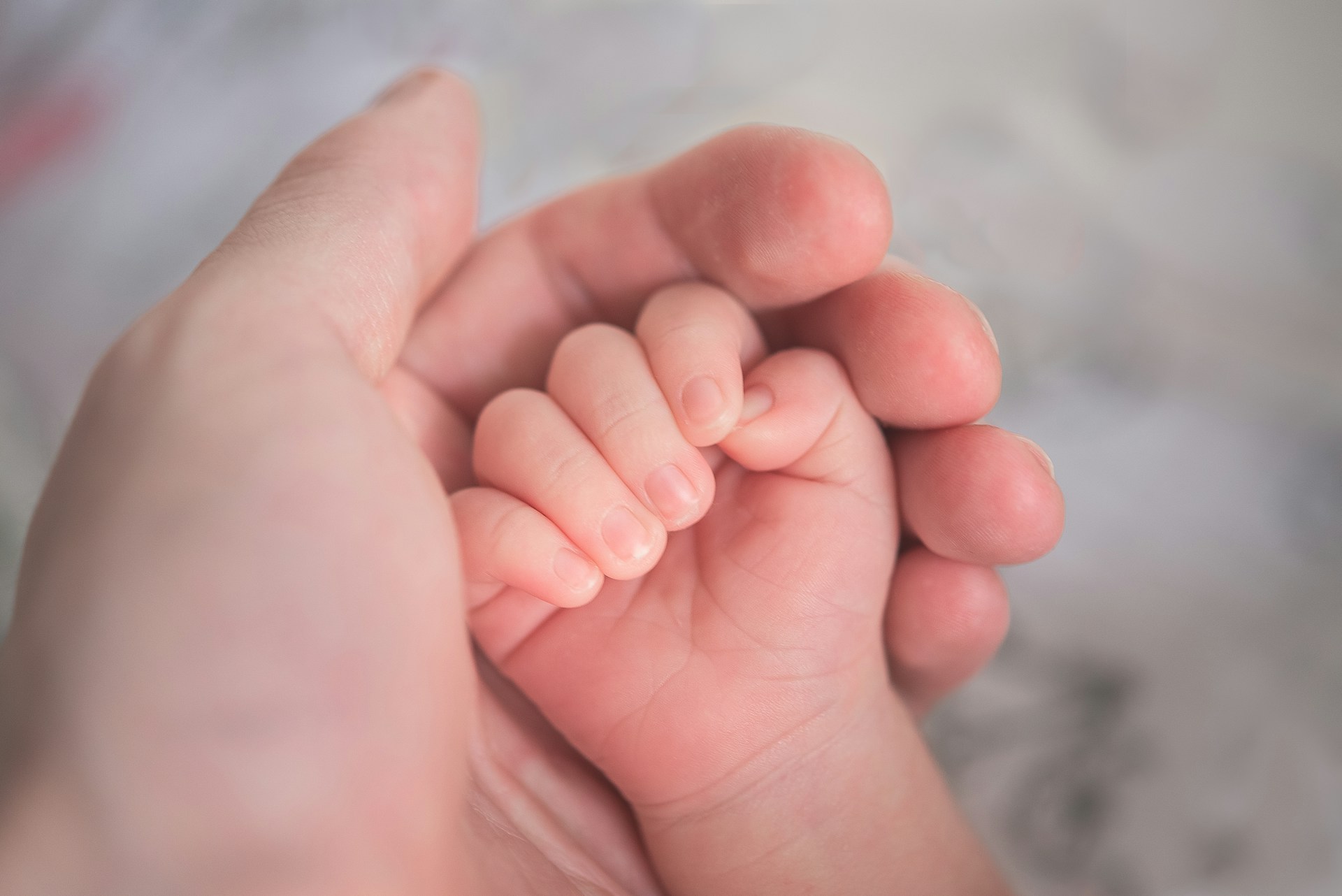 Eine Person, die die Hand eines Babys hält | Quelle: Unsplash