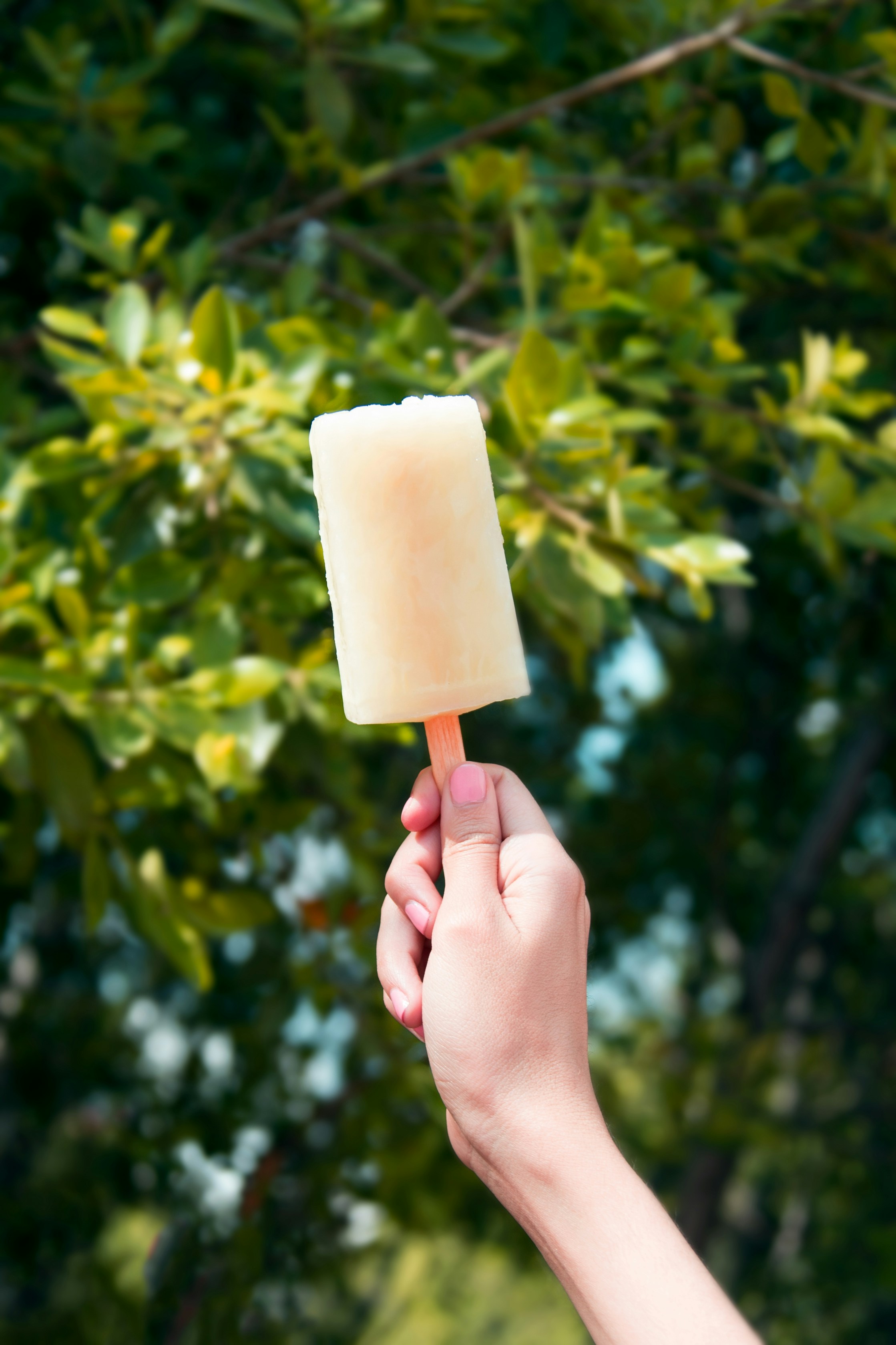 Eine Person hält ein Eis am Stiel | Quelle: Unsplash