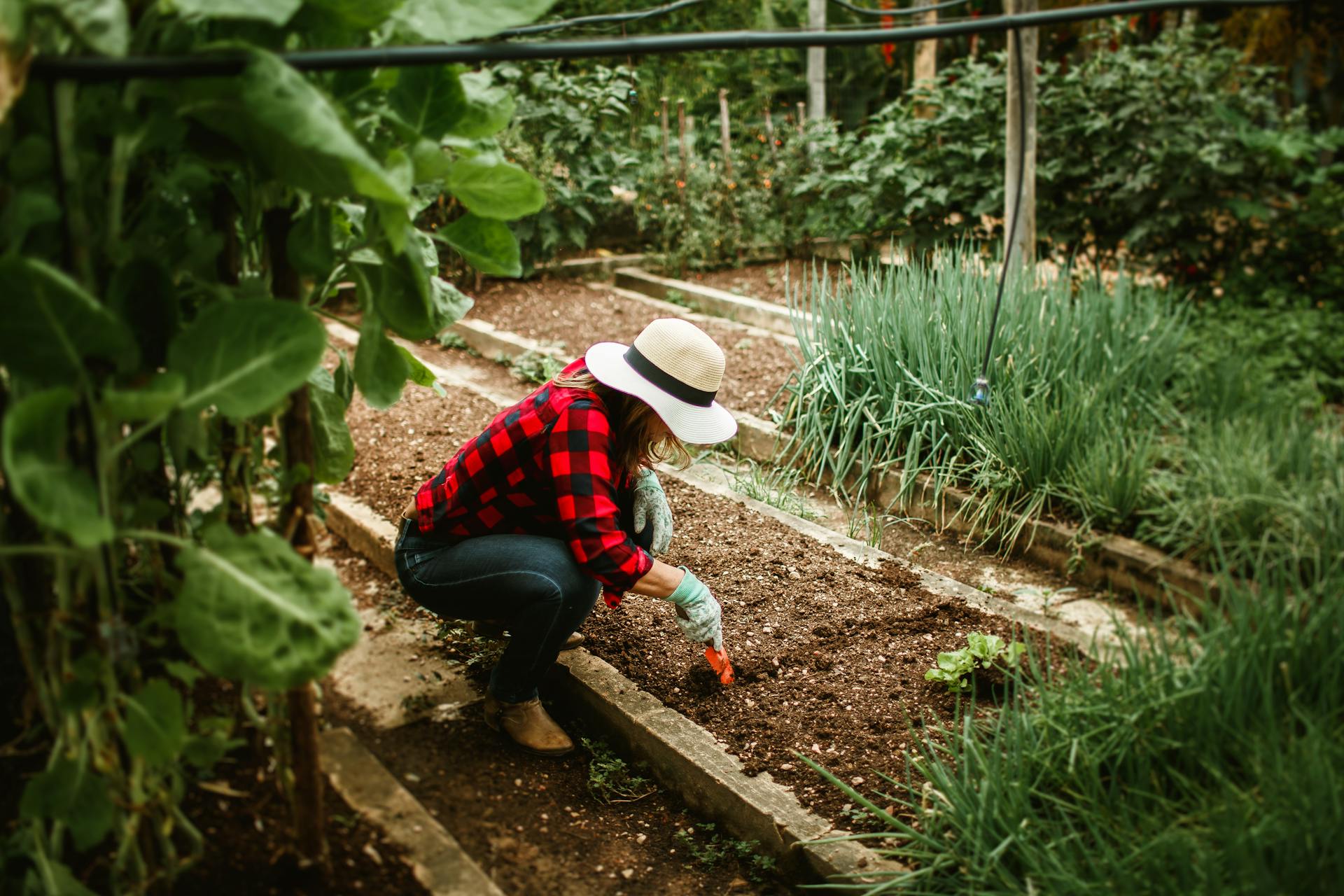 Eine Frau arbeitet im Garten | Quelle: Pexels