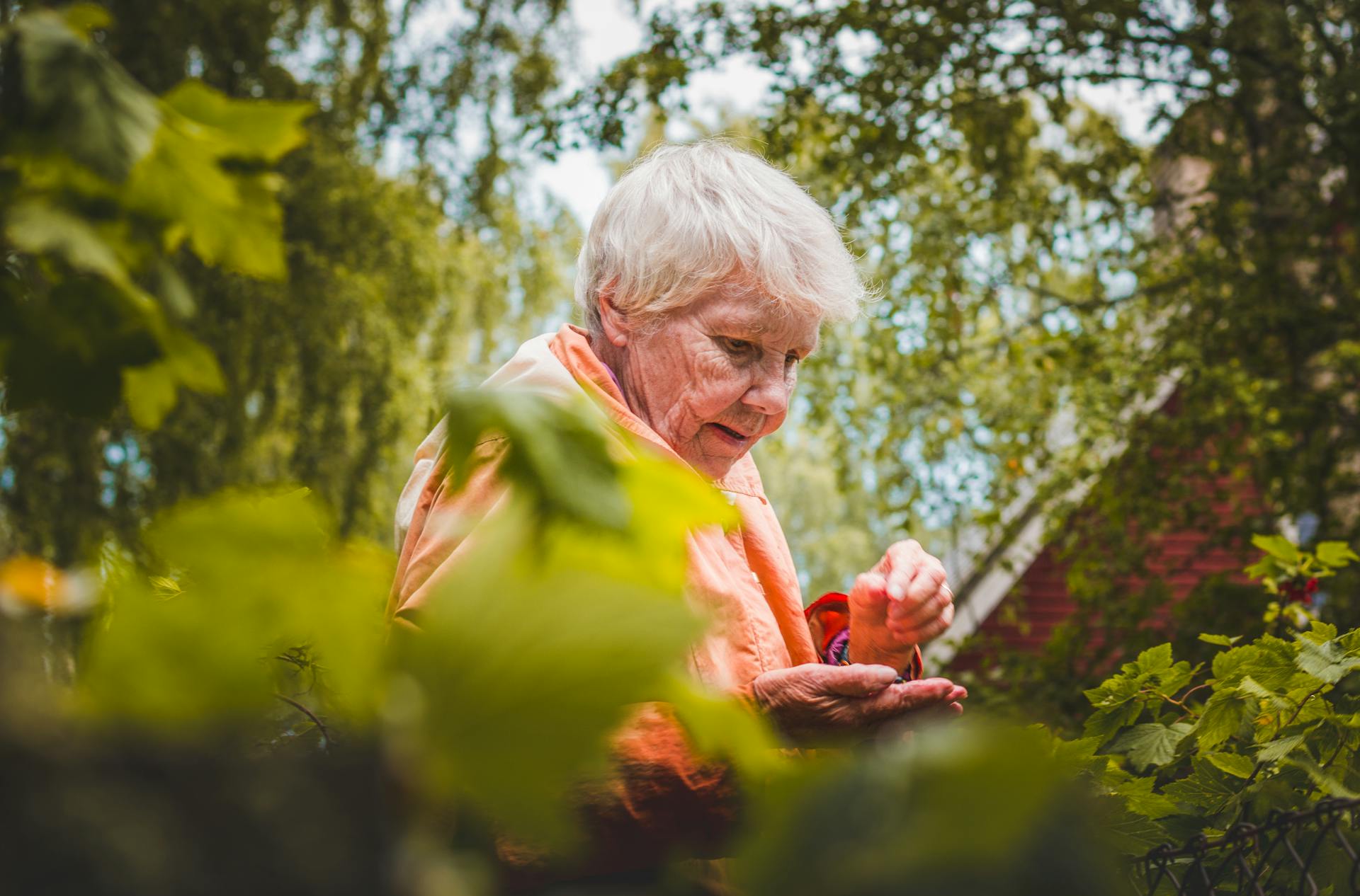 Eine Oma, die in der Nähe der Pflanzen steht | Quelle: Pexels