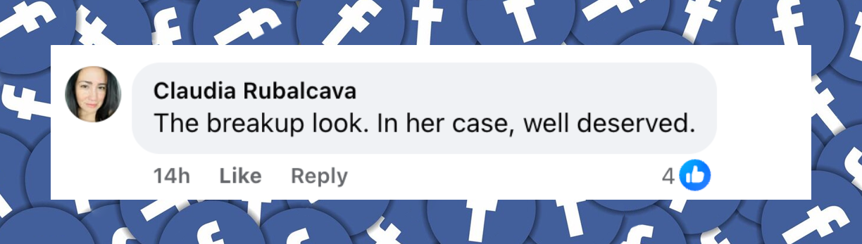 Nutzerkommentar aus einem Facebook Reel vom Juli 2025. | Quelle: Facebook/Daily Mail