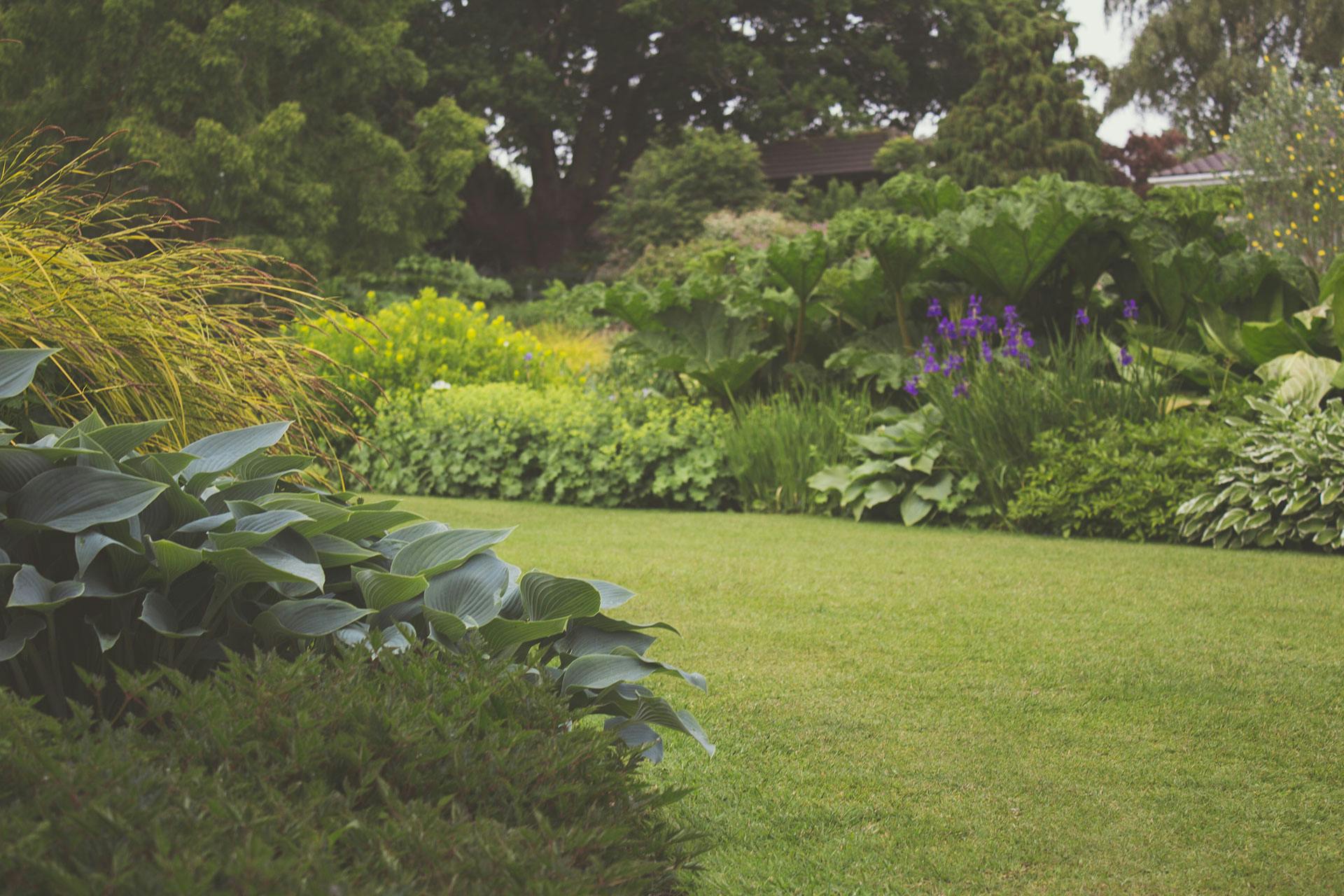 Ein Garten in der Nähe eines Hauses | Quelle: Pexels