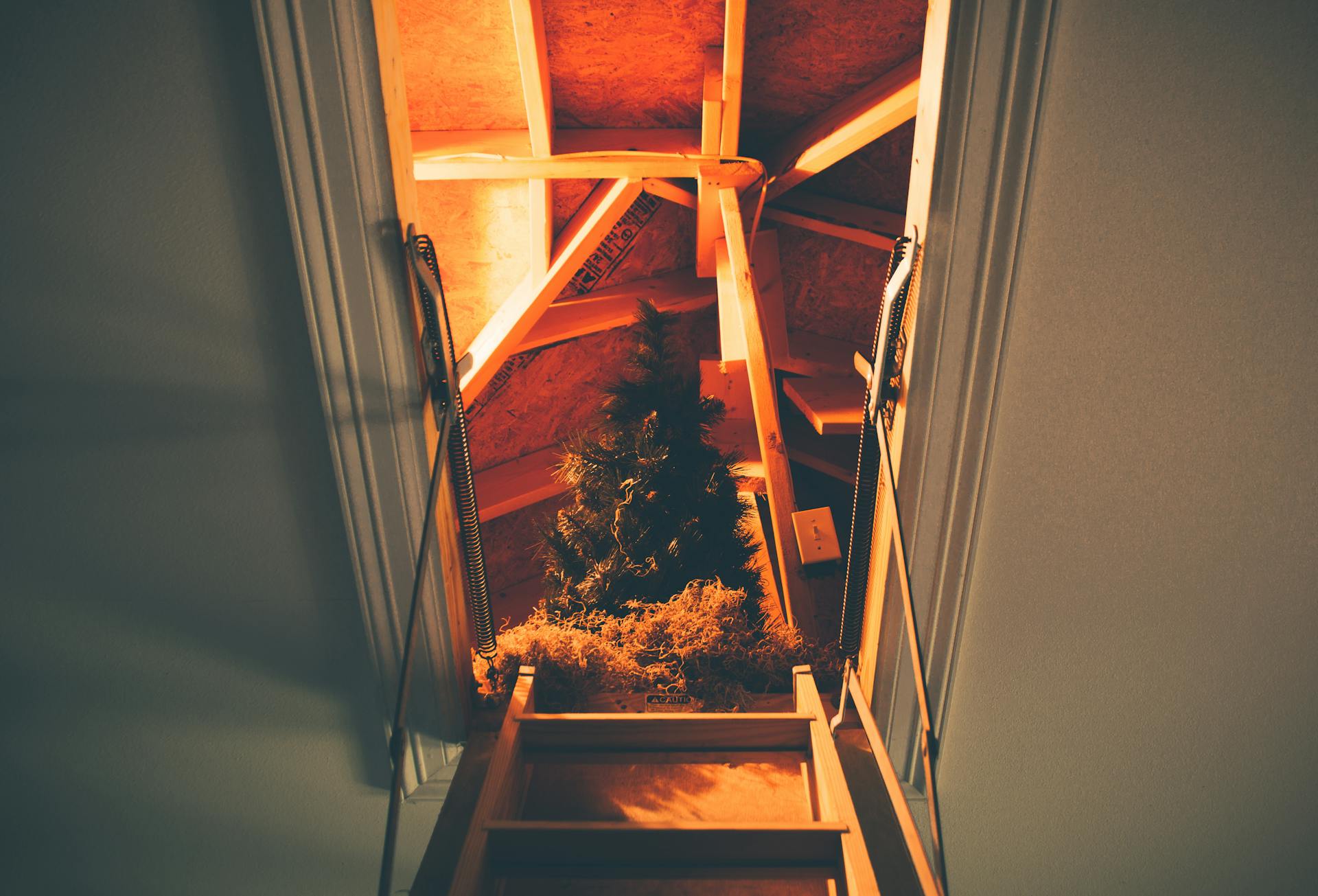Eine Treppe, die zum Dachboden führt | Quelle: Pexels