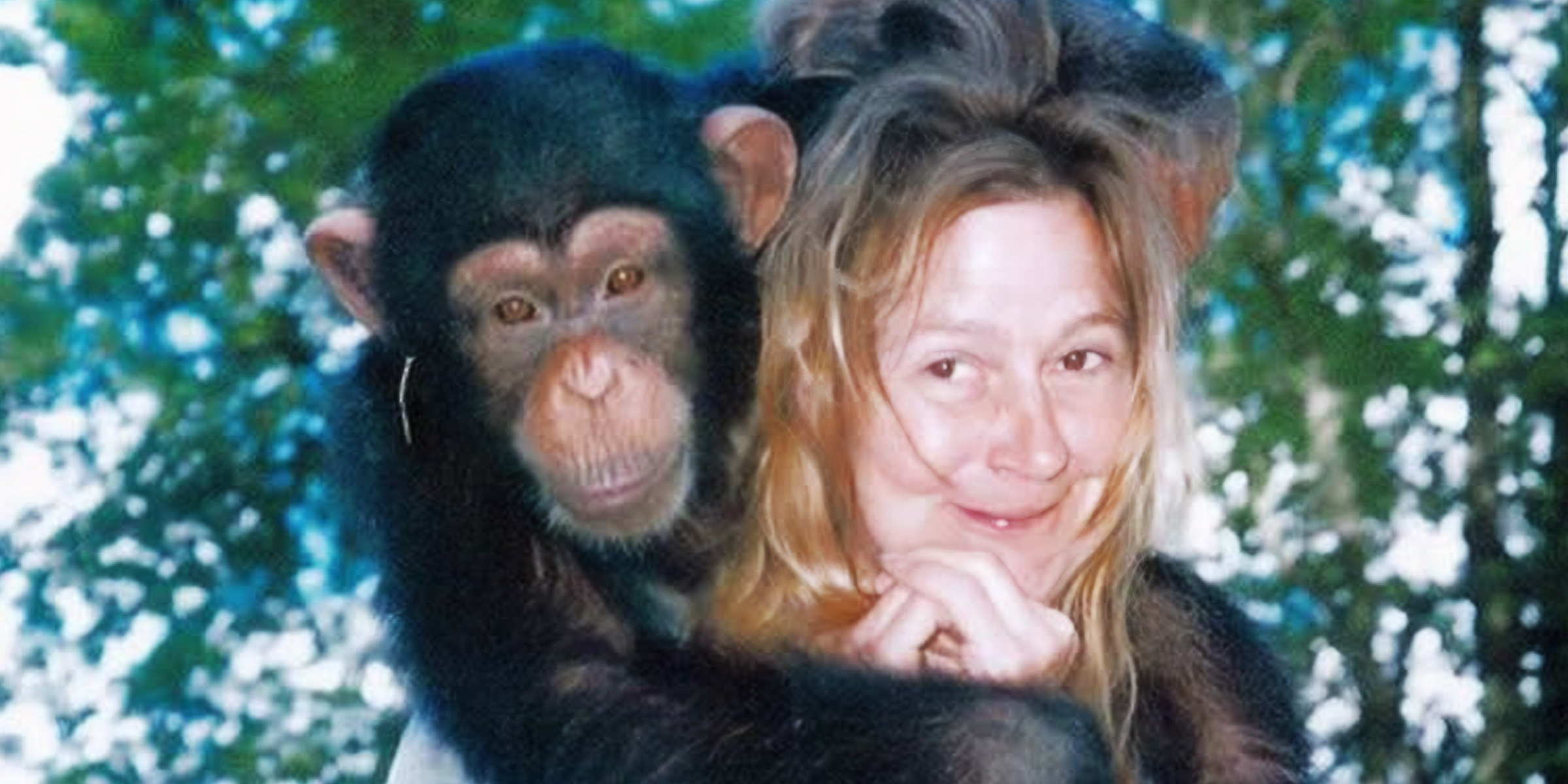 Charla Nash und Travis der Schimpanse | Quelle: Facebook/Datos Curiosos y Sobrenaturales