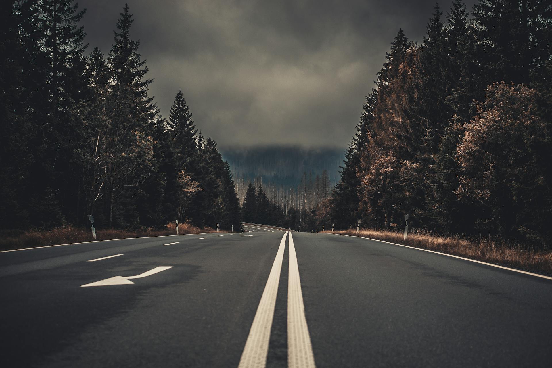 Eine Straße | Quelle: Pexels