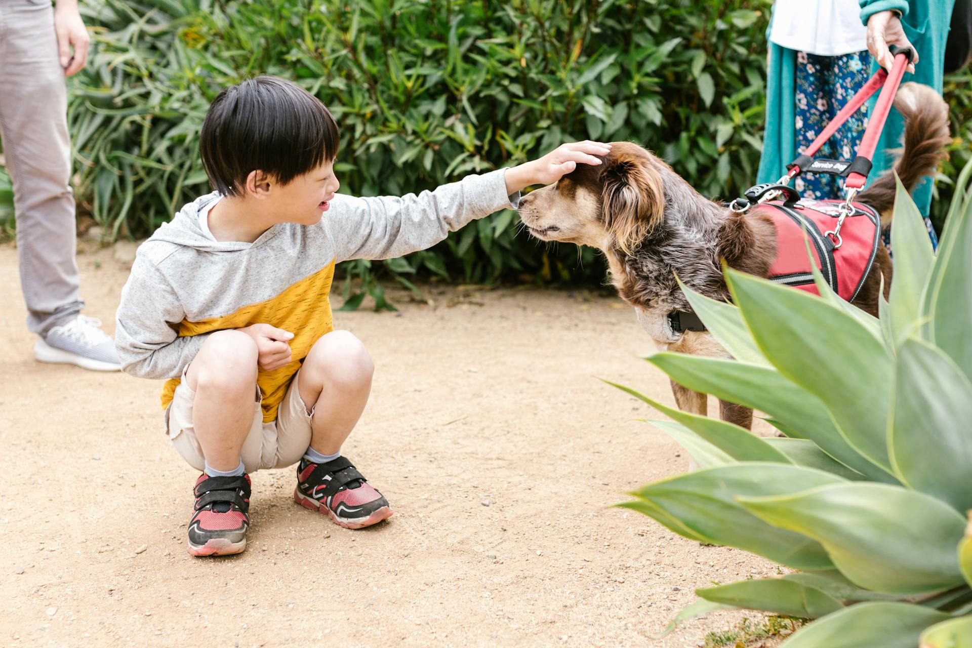 Ein kleiner Junge streichelt einen Hund | Quelle: Pexels