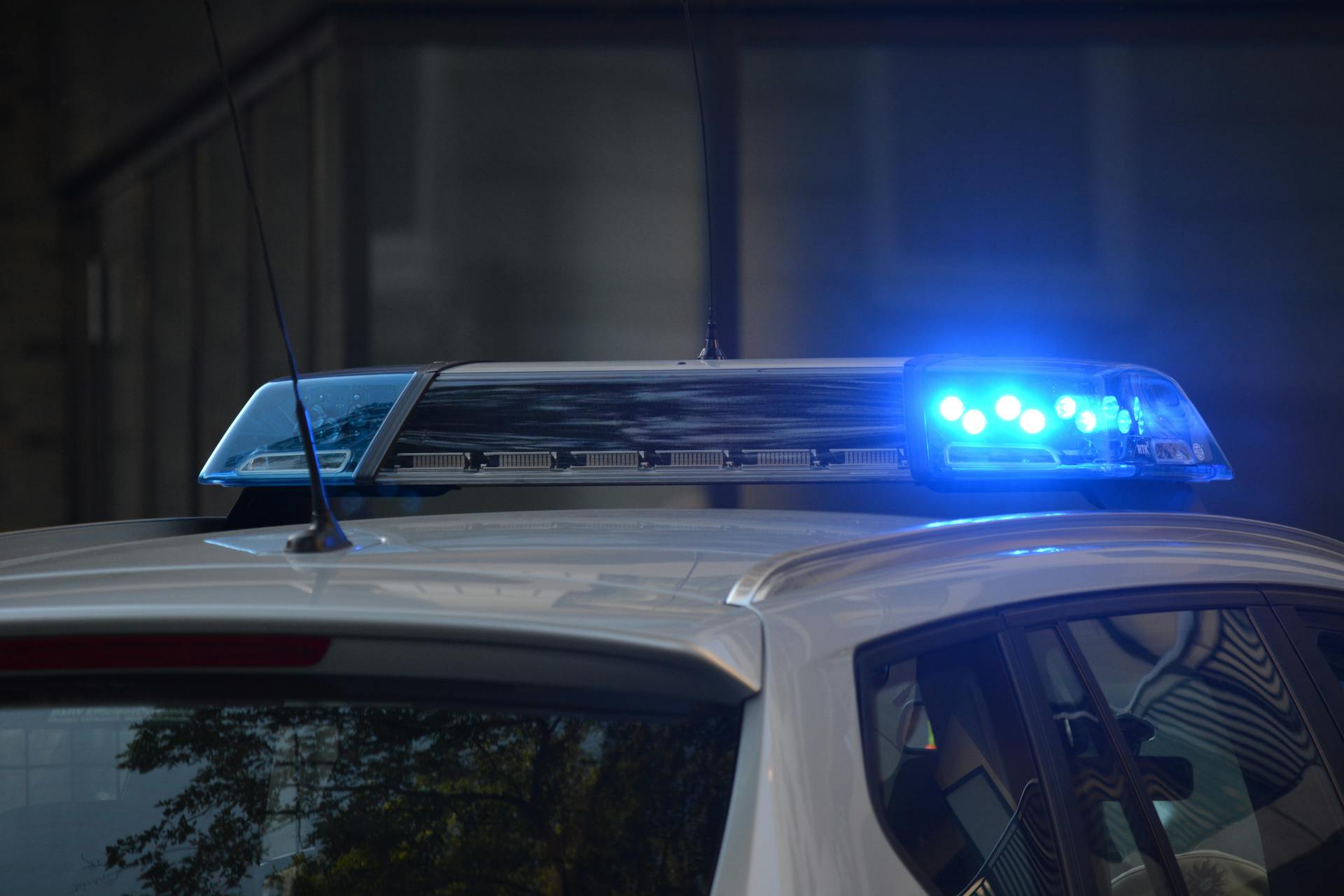 Die Lichter an einem Polizeiauto | Quelle: Pexels