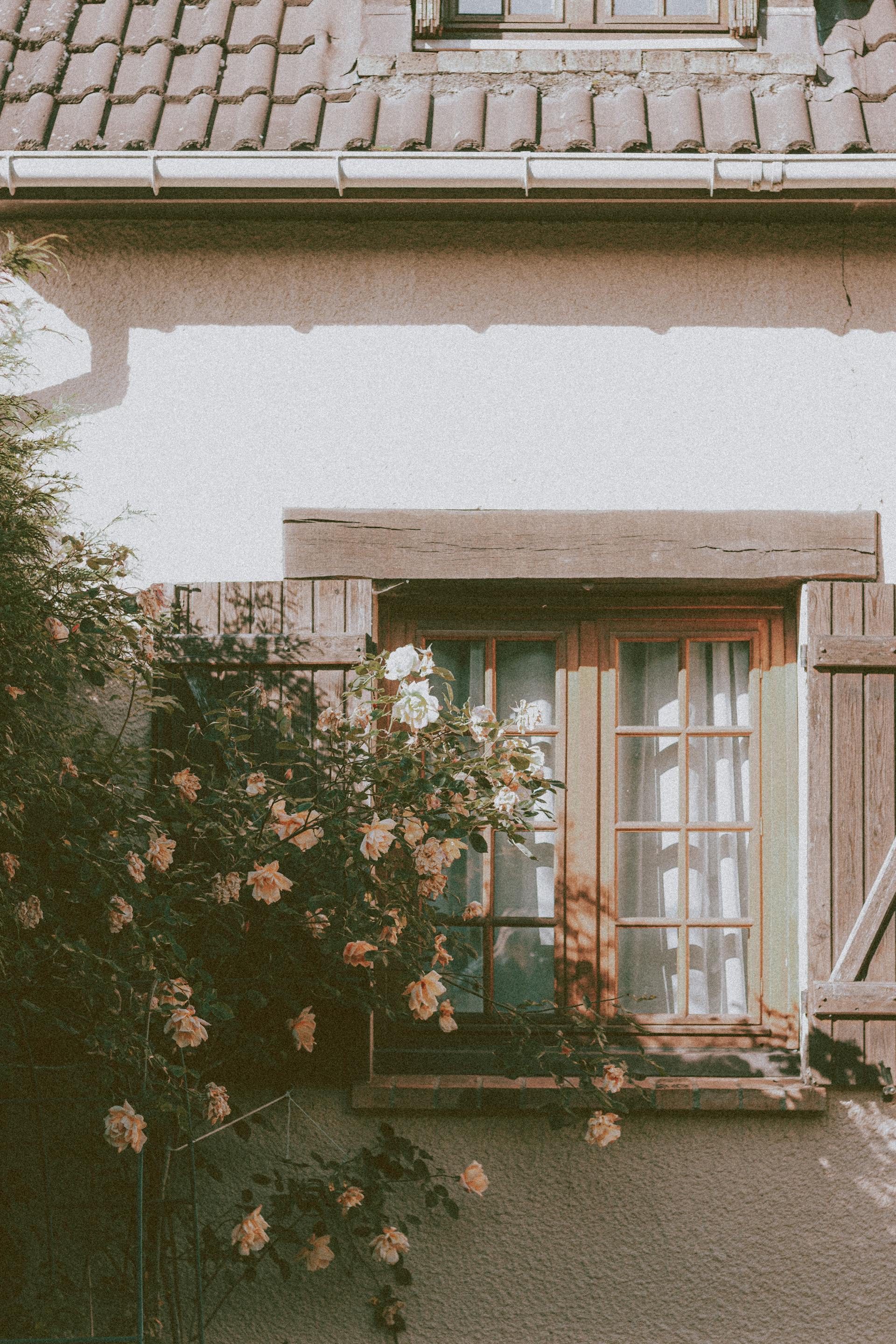 Ein blühender Busch in der Nähe des Fensters einer Hütte | Quelle: Pexels