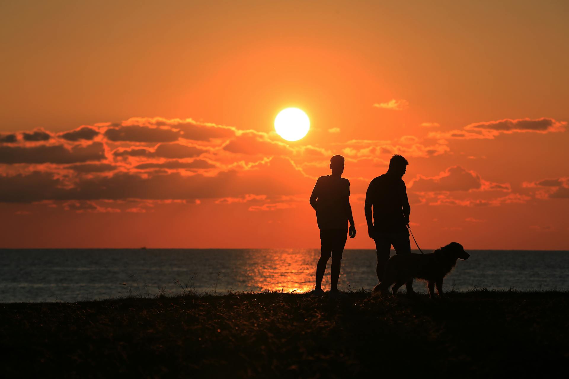 Silhouette von zwei Männern am Strand mit ihrem Hund | Quelle: Pexels