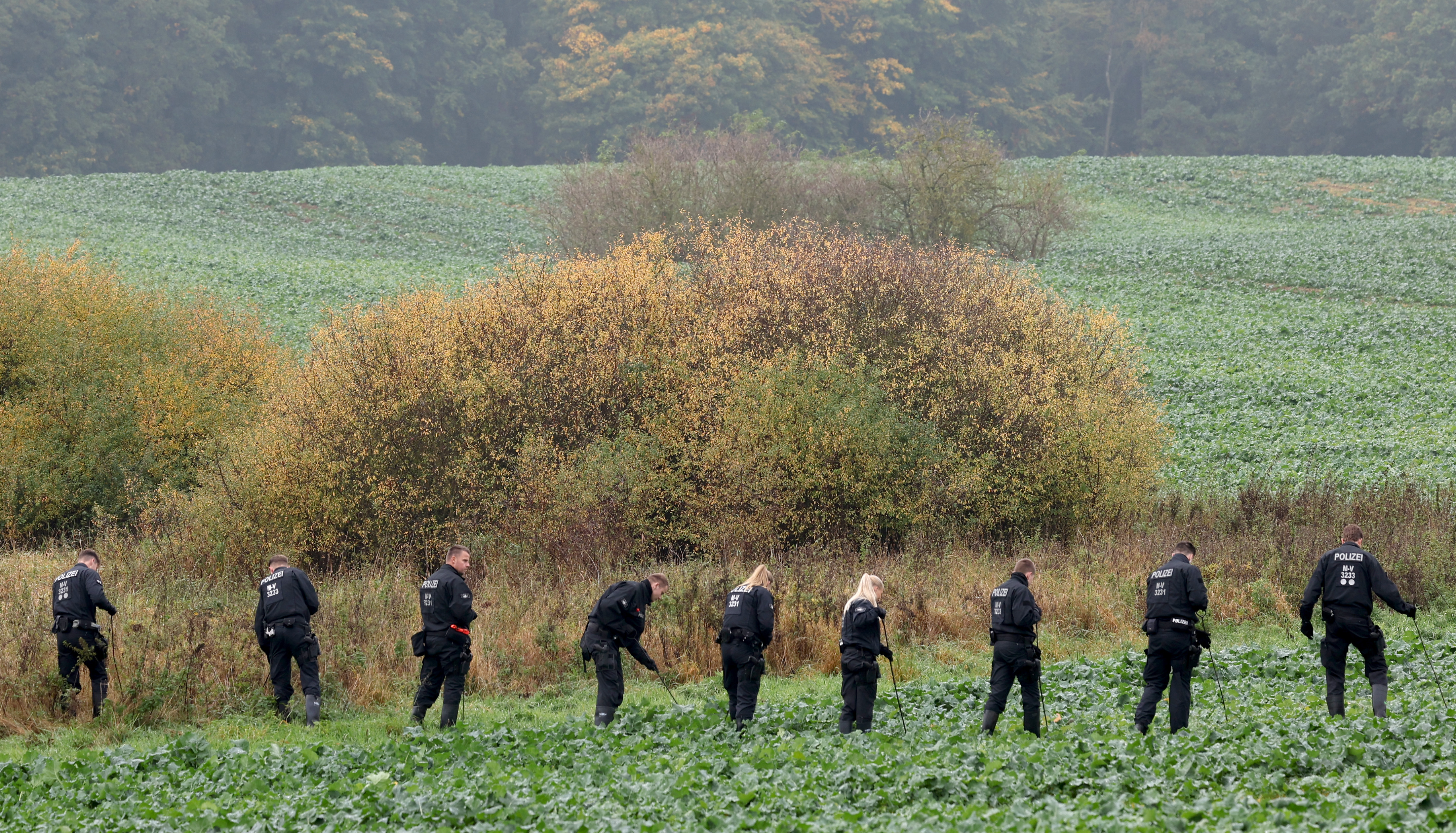 Einsatzkräfte durchkämmen die Umgebung des Fundorts einen Tag nach dem Fund des Leichnams. | Quelle: Getty Images