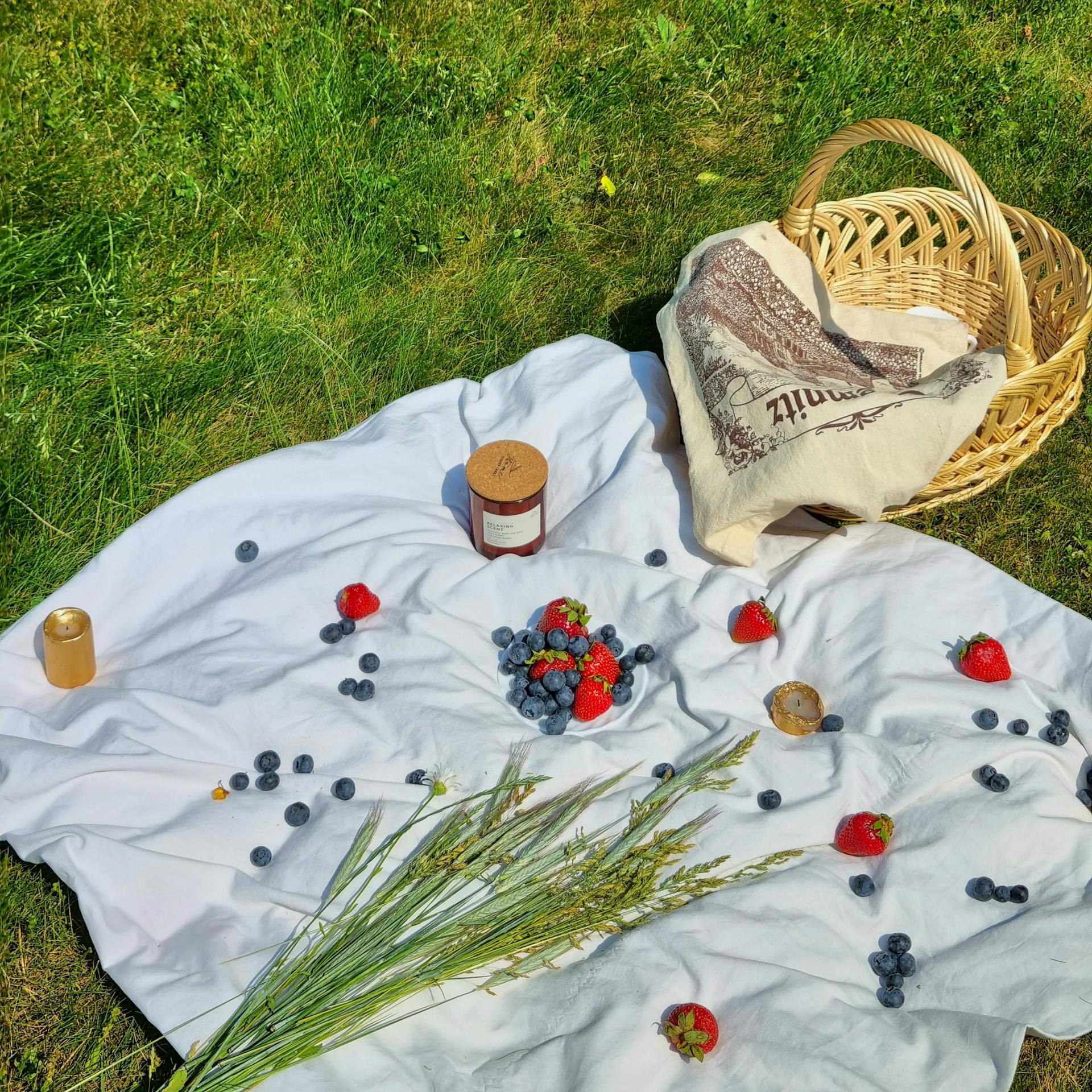 Ein Picknickkorb in einem Park | Quelle: Pexels