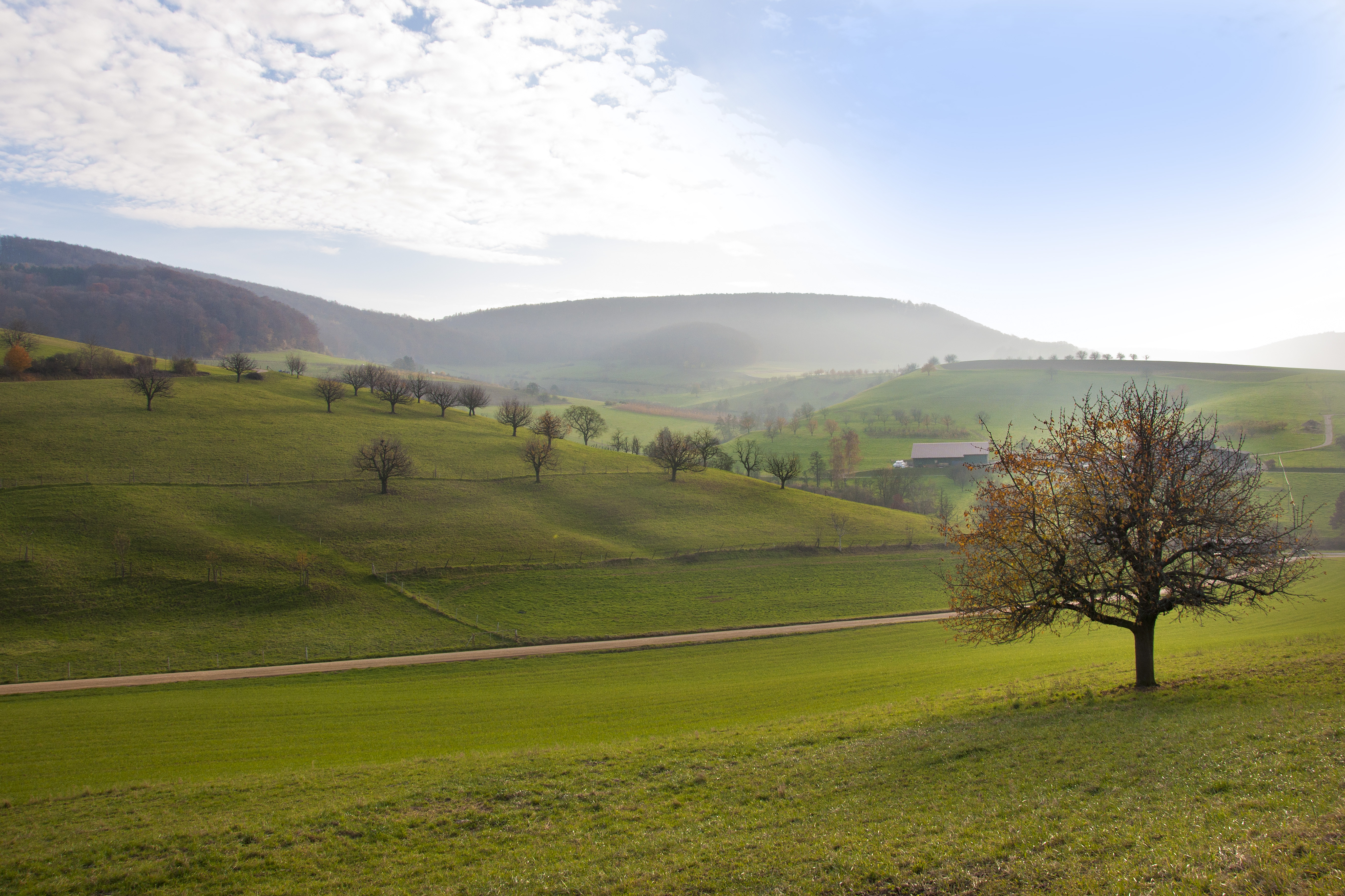Kanton Basel-Landschaft (Symbolbild) | Quelle: GettyImages