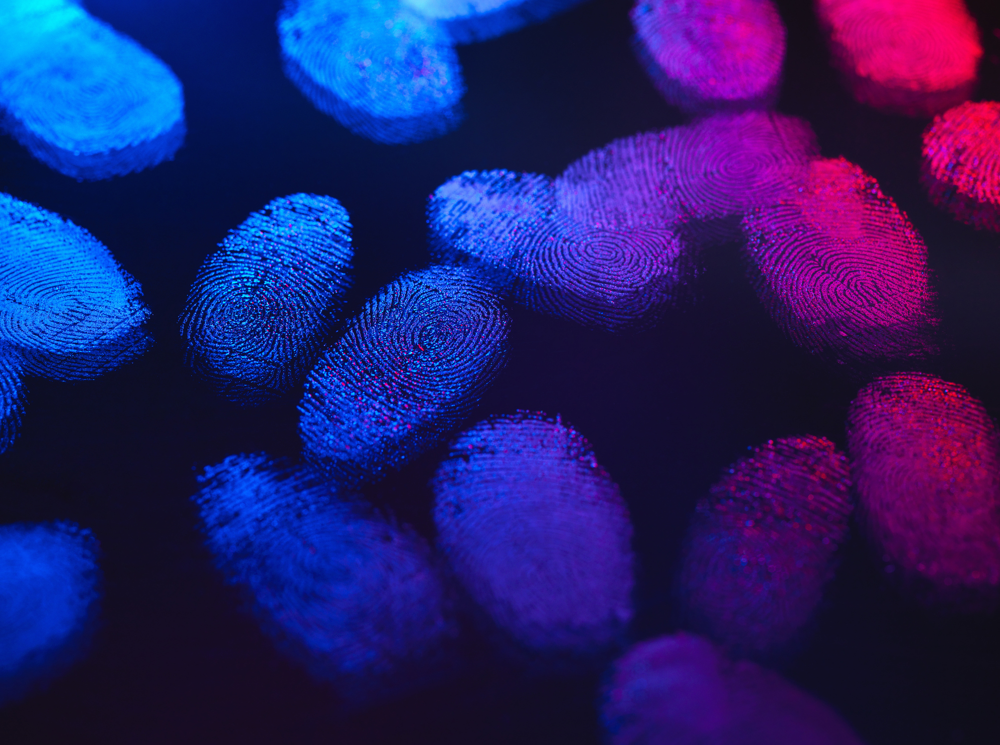 Menschliche Fingerabdrücke, sichtbar gemacht mit Licht | Quelle: Getty Images