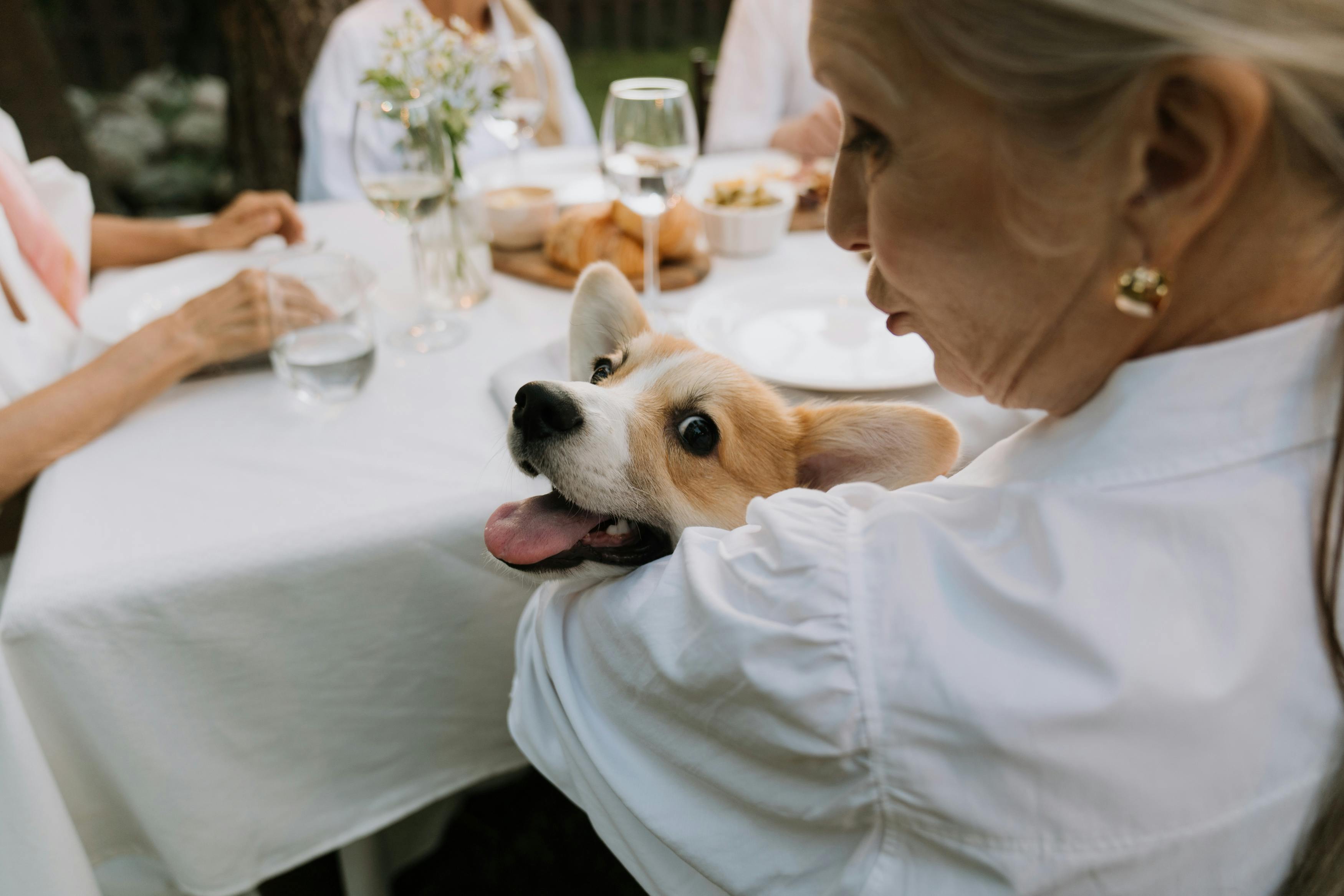 Eine Frau, die einen Hund hält | Quelle: Pexels