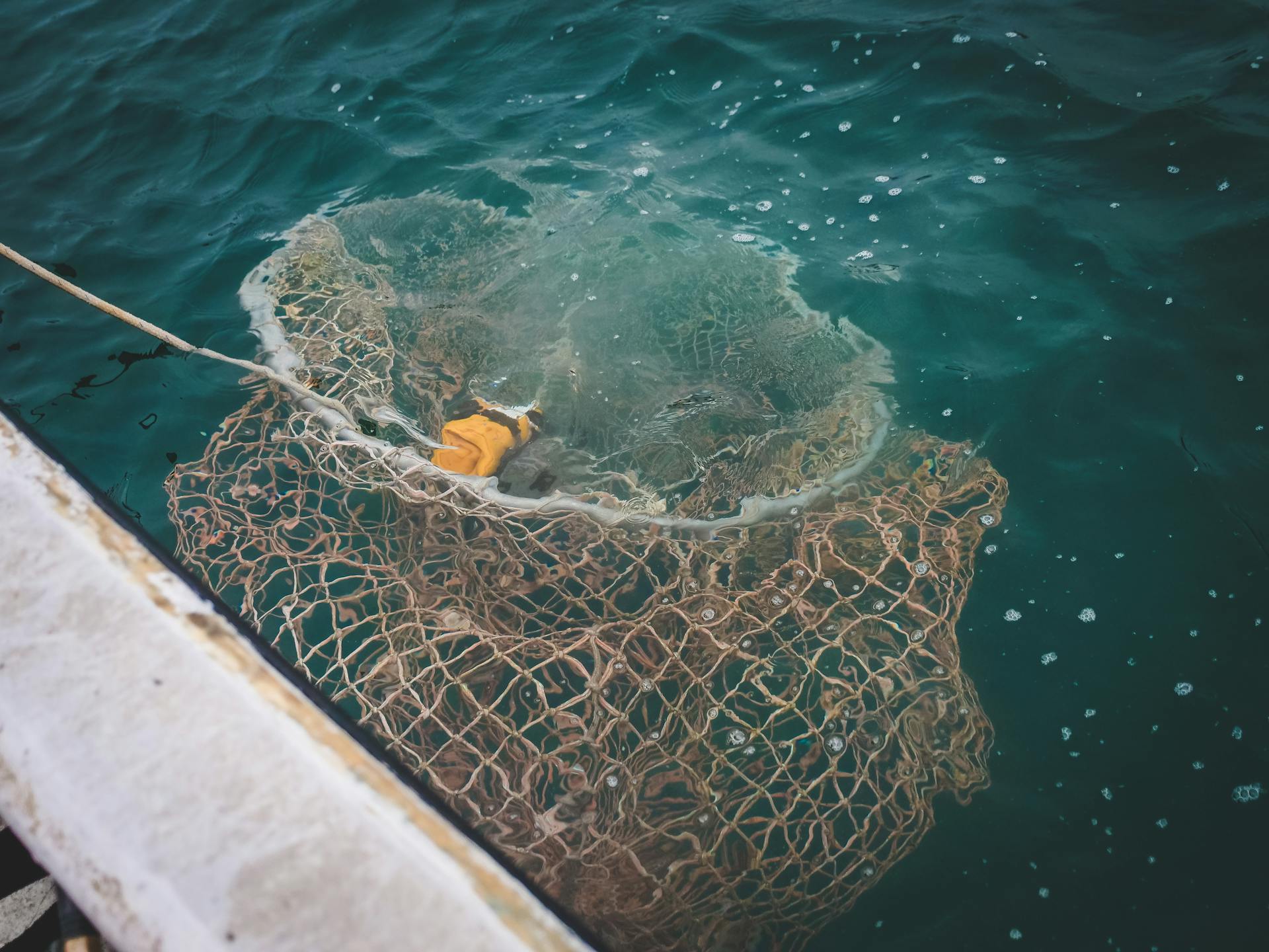Ein Fischernetz im Wasser | Quelle: Pexels
