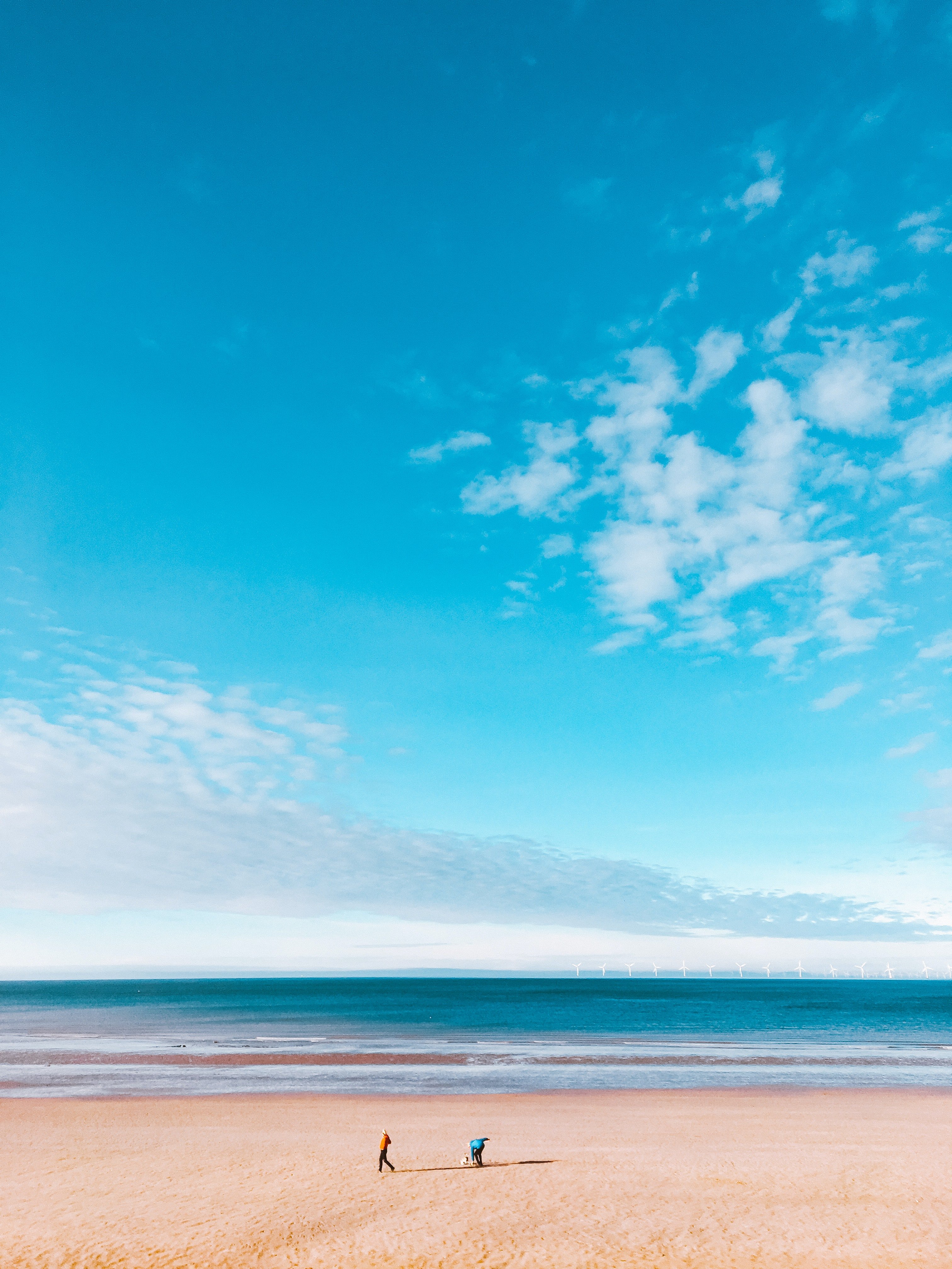 Ethan und Tim sind zu ihrem üblichen Platz am Strand gegangen, um ein wichtiges Gespräch miteinander zu führen. | Quelle: Pexels