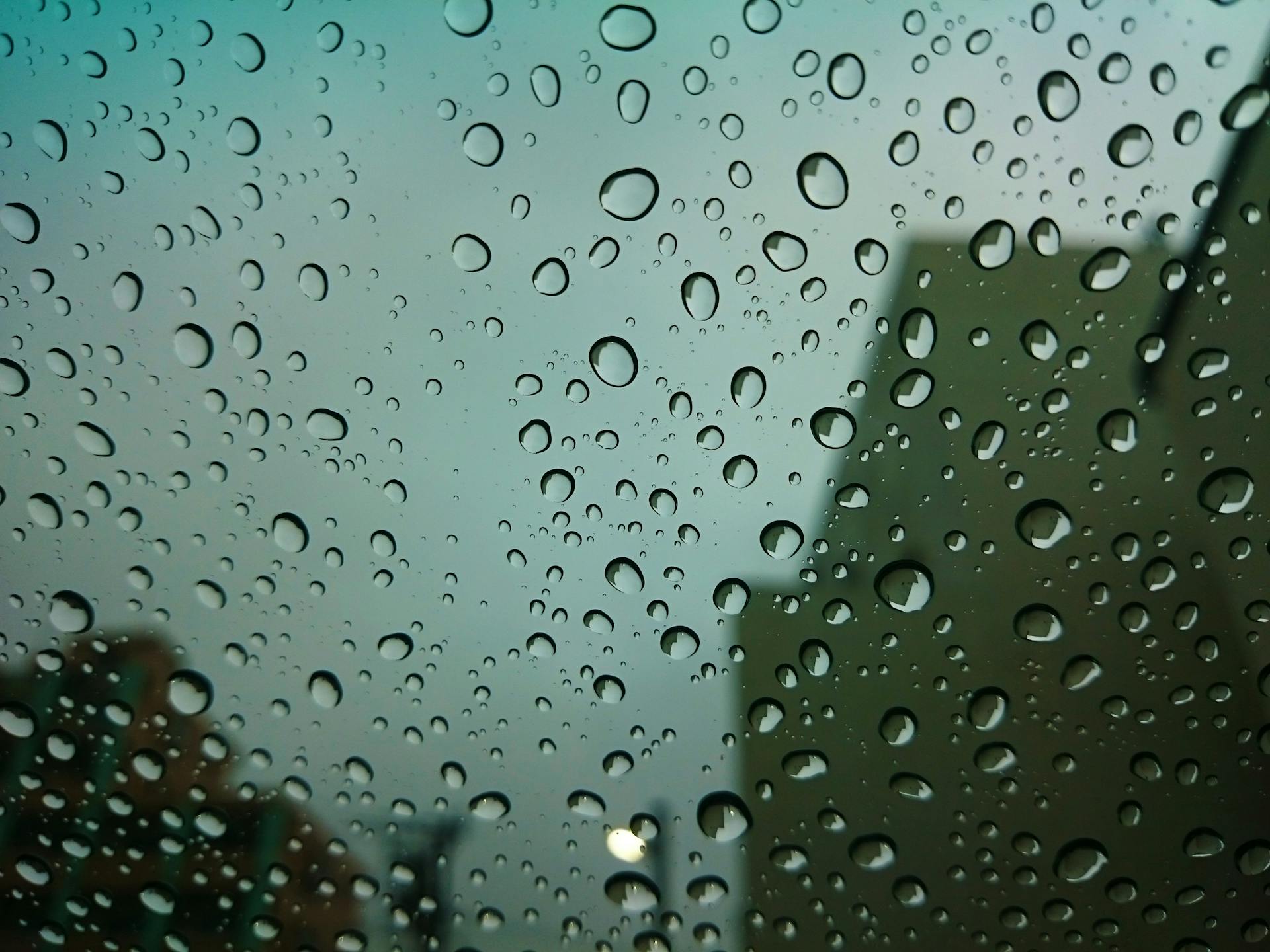 Regentropfen auf einem Fenster | Quelle: Pexels