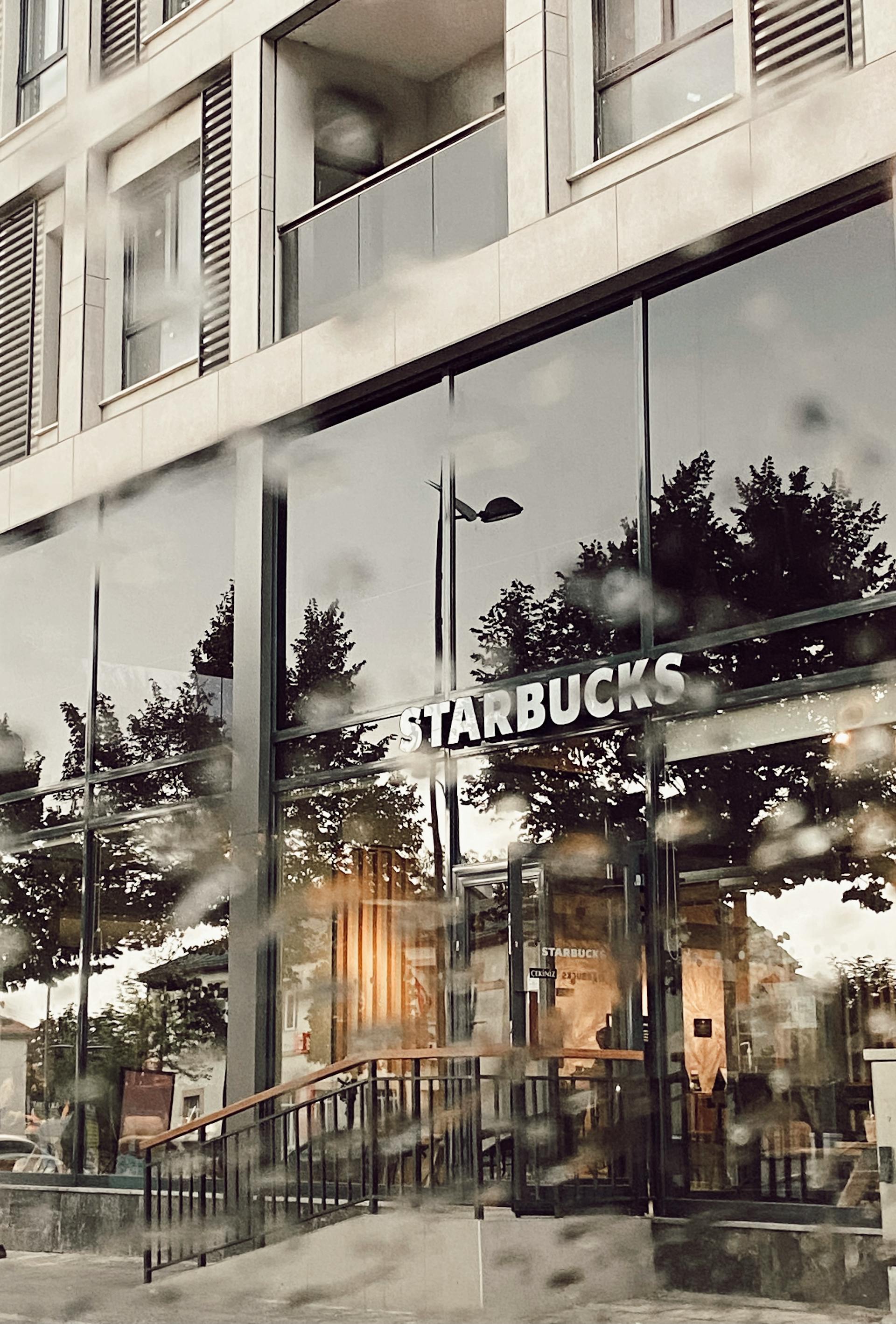 Ein Café mit Bäumen, die sich in den Fenstern spiegeln | Quelle: Pexels