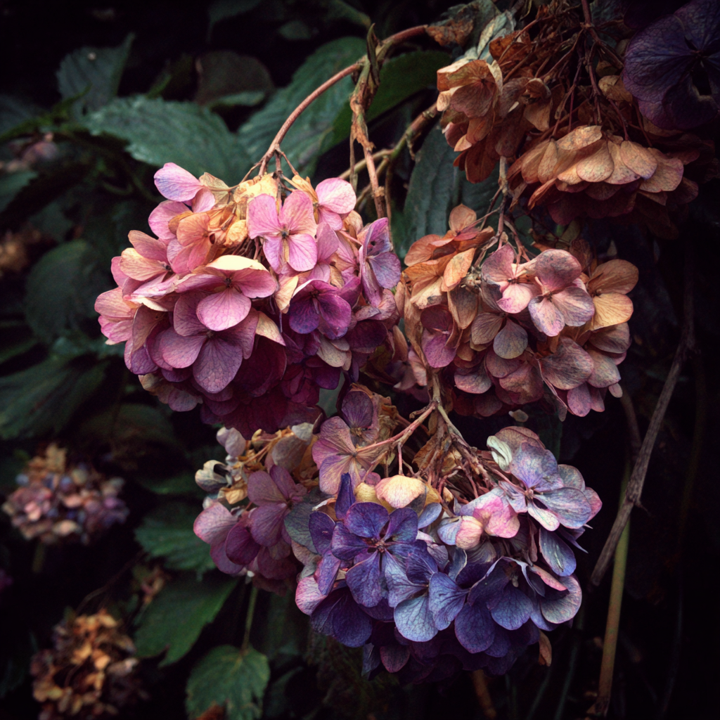 Verwelkende Blumen in einem Garten | Quelle: Midjourney