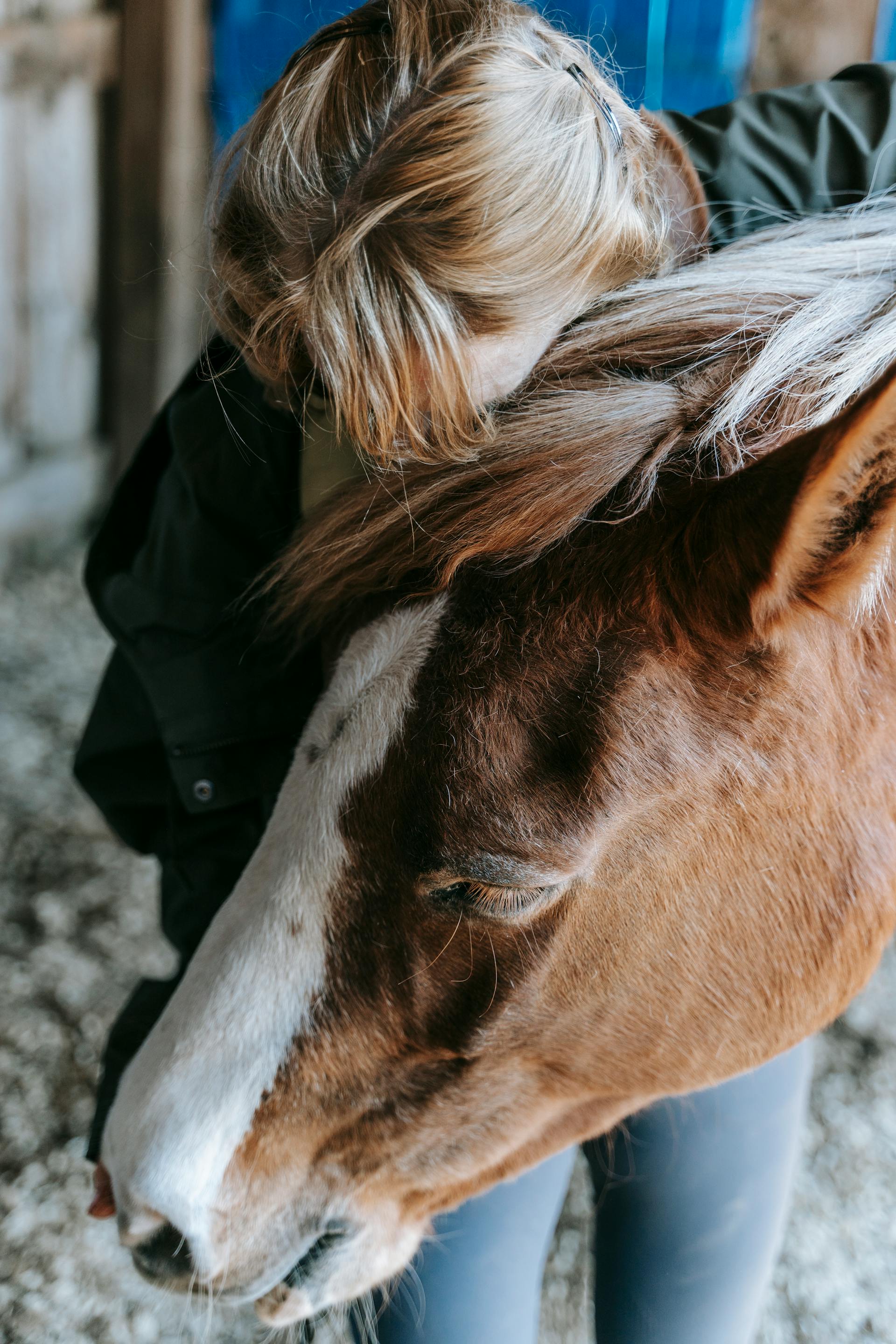 Eine Frau, die ein Pferd streichelt | Quelle: Pexels