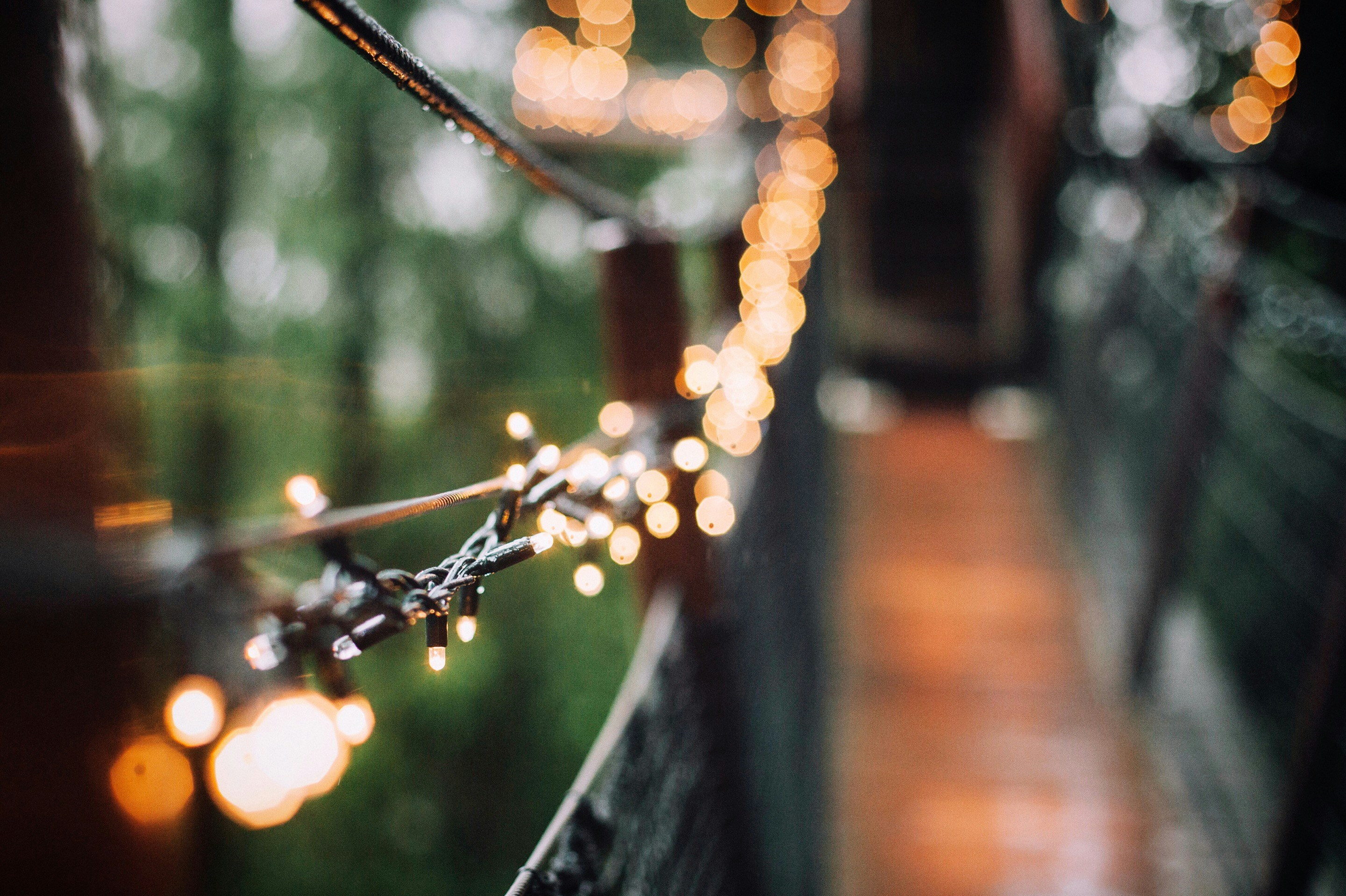 Eine verschwommene Ansicht von Lichterketten | Quelle: Unsplash