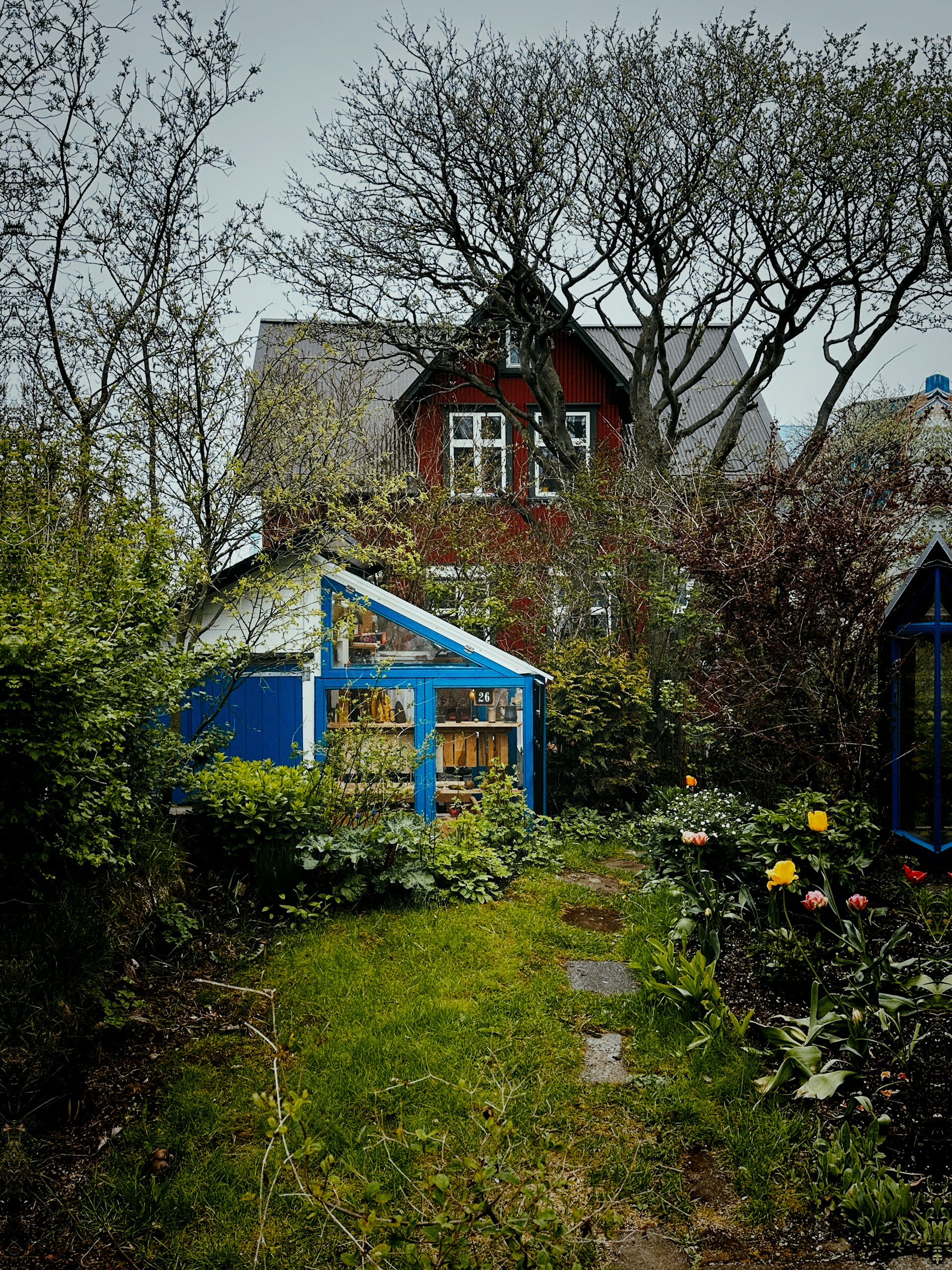 Ein Haus mit einem überwucherten Garten | Quelle: Unsplash