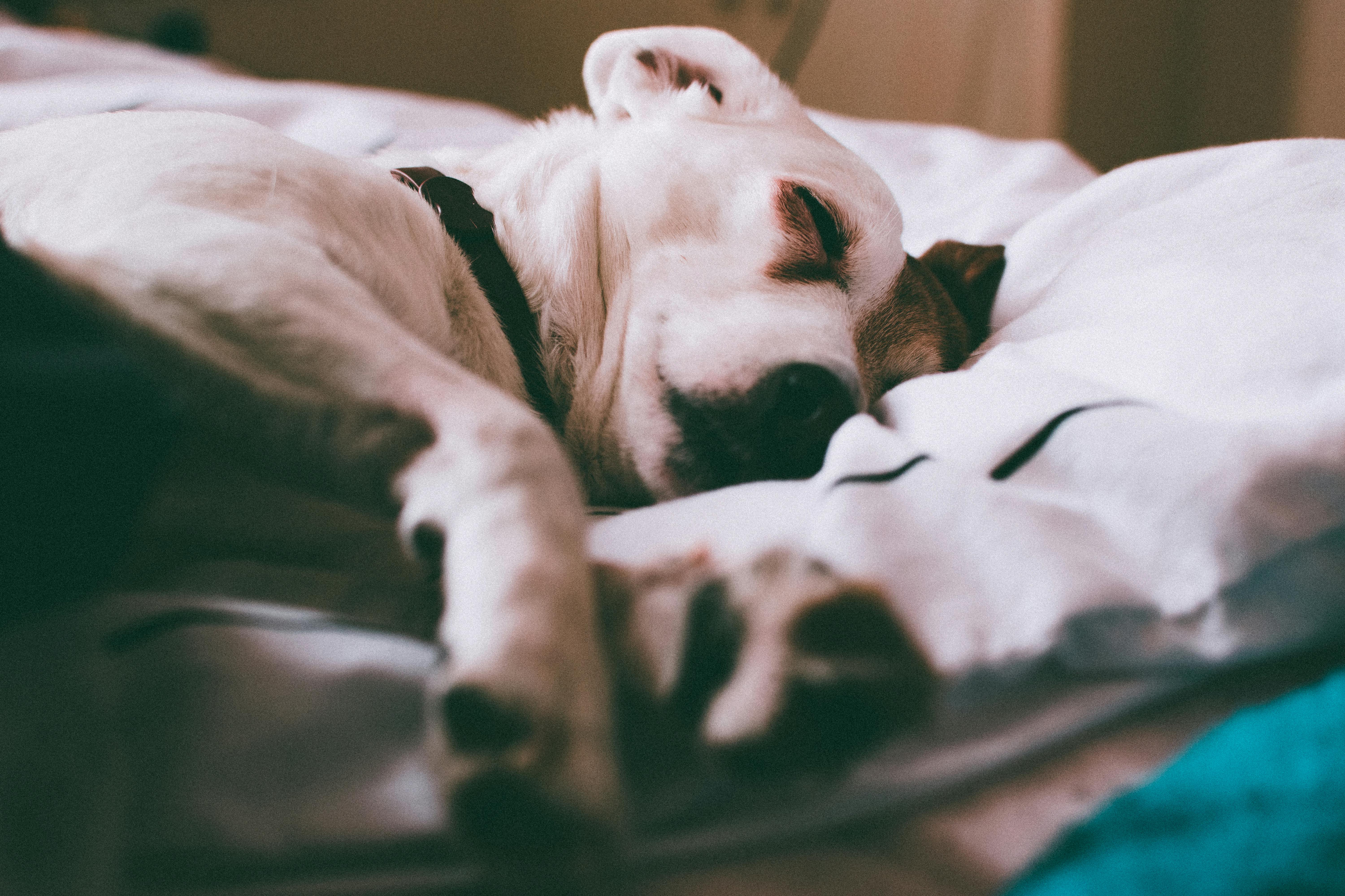 Nur zu Illustrationszwecken. | Quelle: Pexels