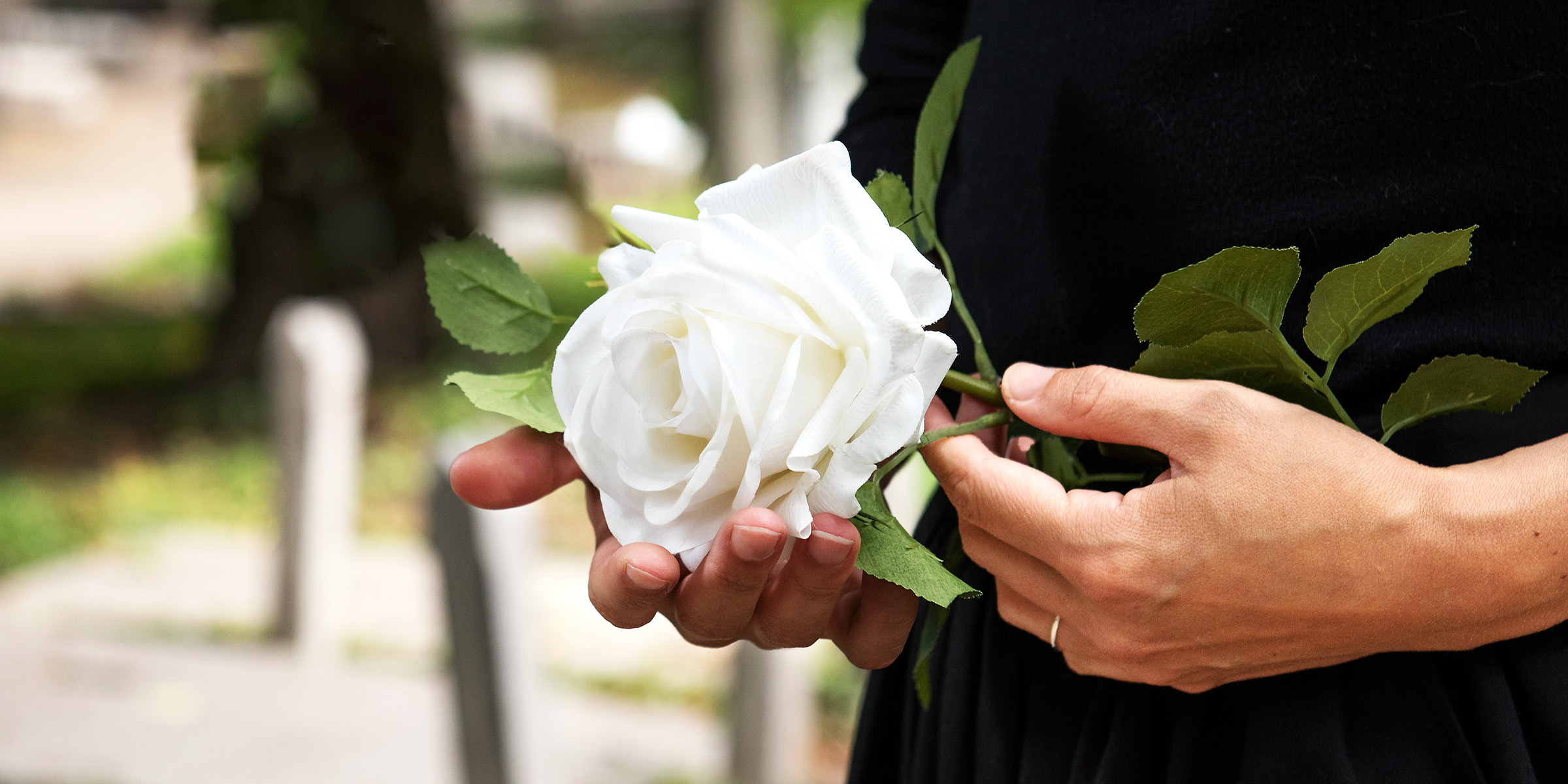 Eine Frau hält eine weiße Rose | Quelle: Freepik