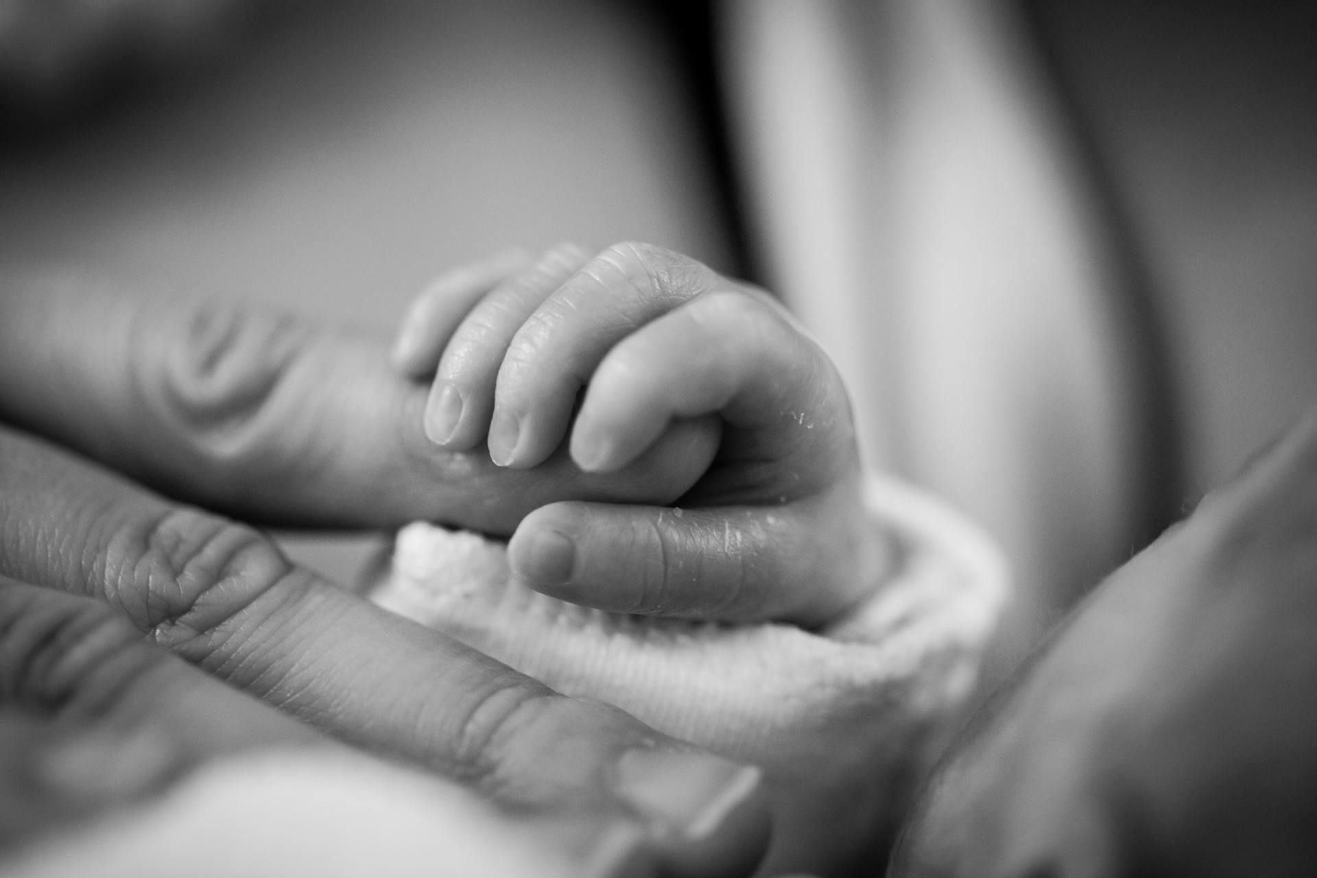 Graustufenfoto eines neugeborenen Babys, das einen Finger hält | Quelle: Pexels