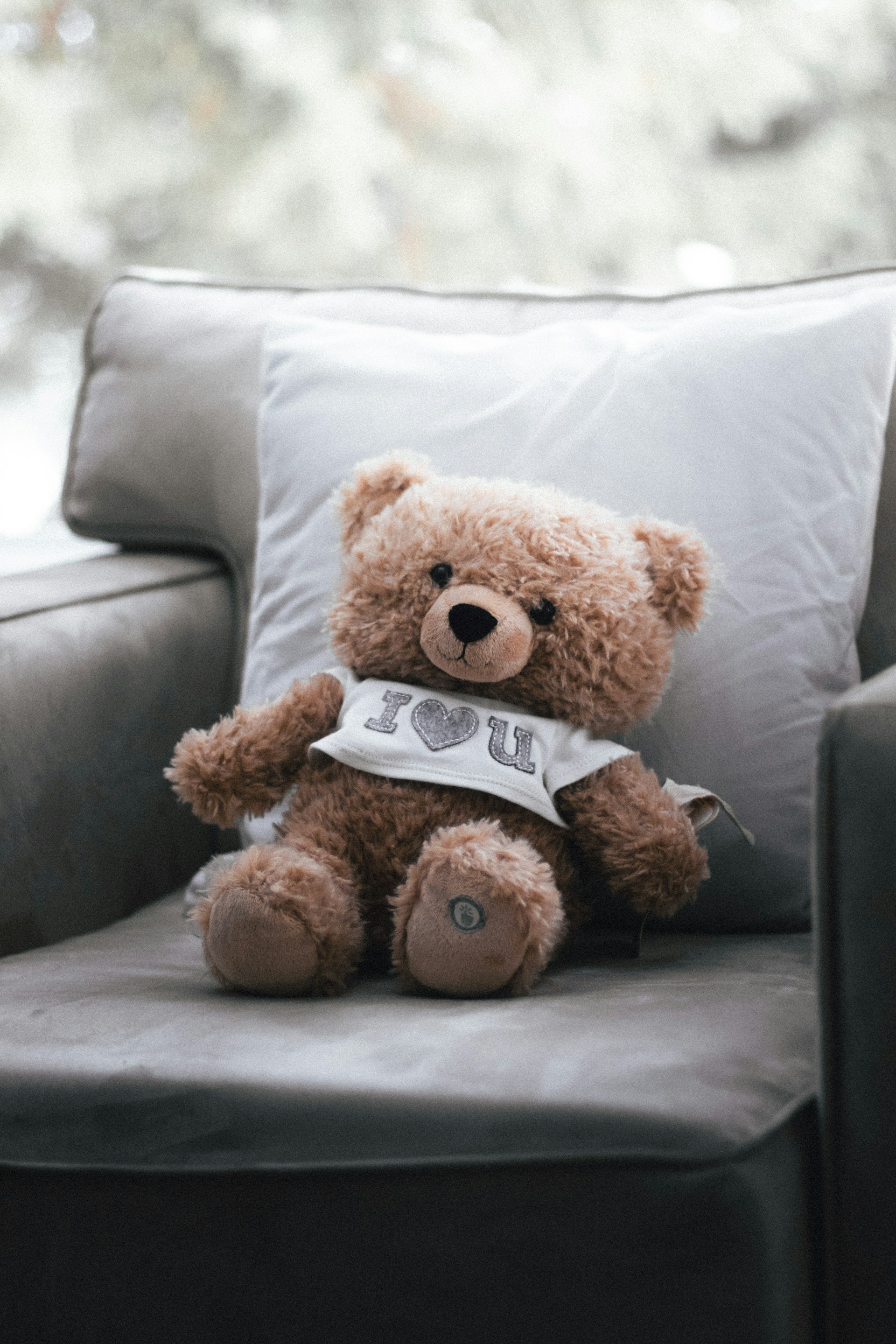 Ein süßer Teddybär auf der Couch | Quelle: Unsplash