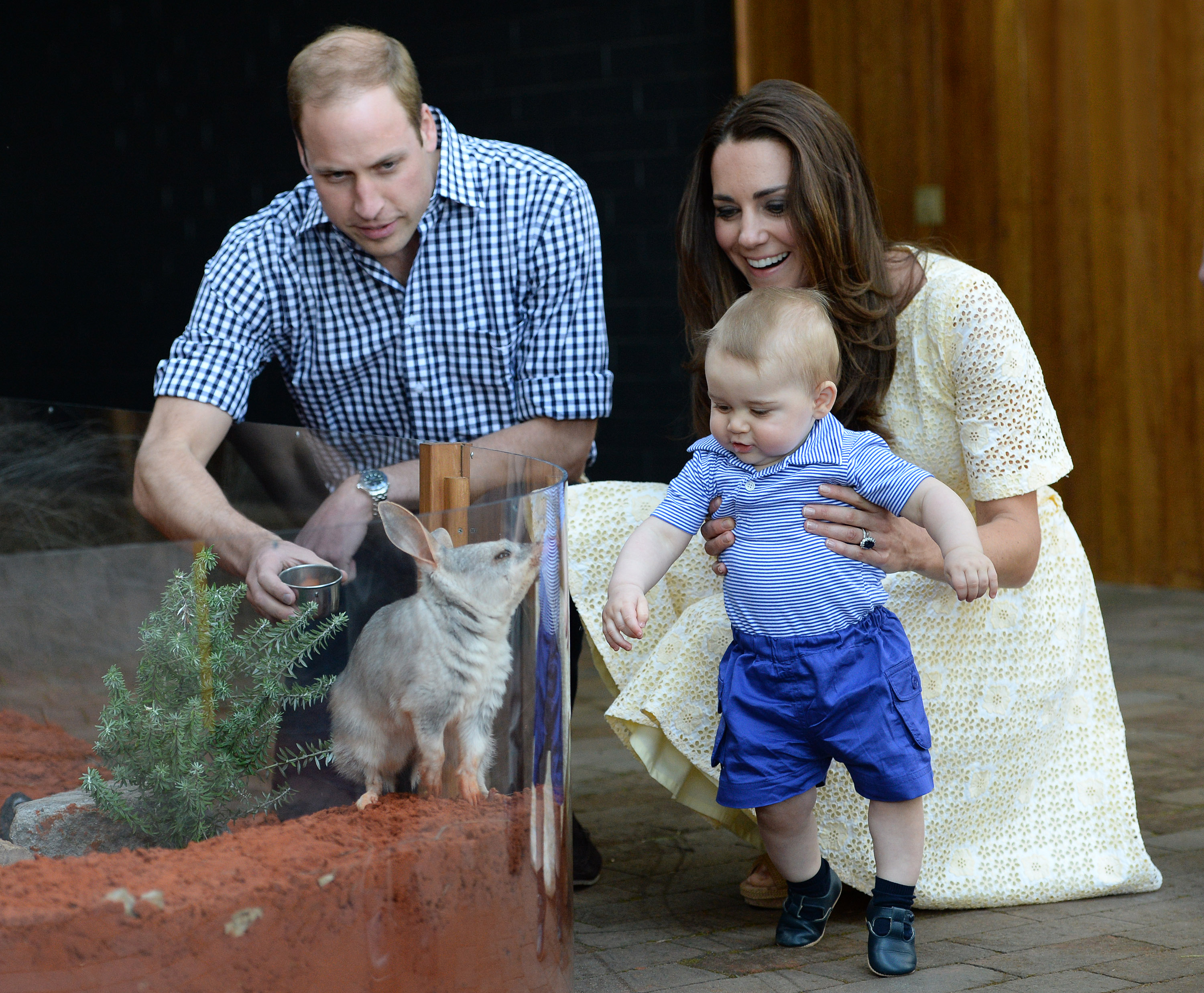 Weniger als ein Jahr später begleitete George William und Catherine auf ihrer ersten offiziellen Auslandsreise mit ihrem Sohn, zu der am 20. April auch ein Besuch im Taronga Zoo in Sydney gehörte. Die Begegnung des kleinen Prinzen mit einem Bilby namens George wurde zu einem der ersten öffentlichen Momente in einer Kindheit, die zunehmend gemeinsam mit seinen Eltern dokumentiert wurde.