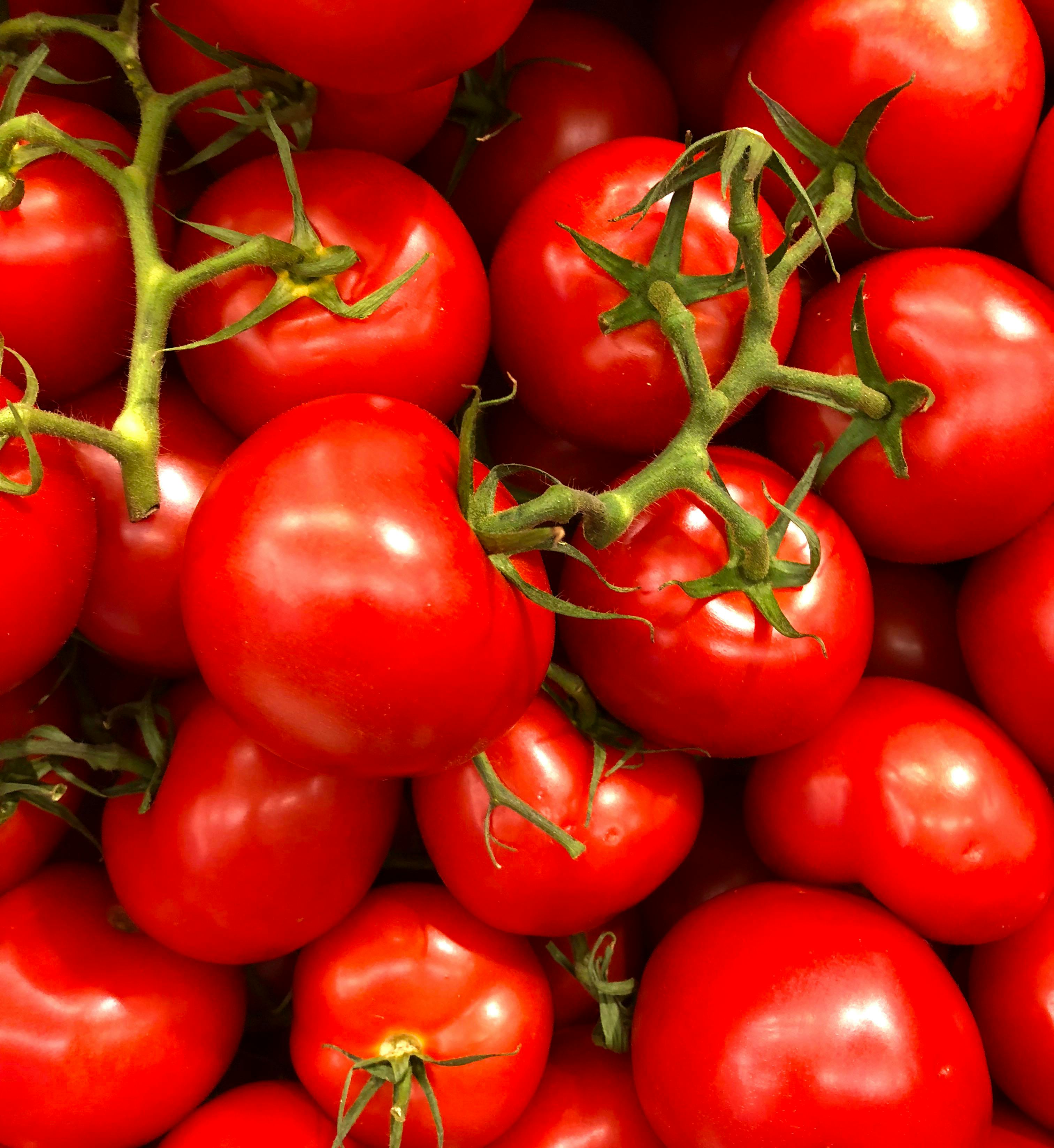 Eine Nahaufnahme von frischen Tomaten | Quelle: Pexels