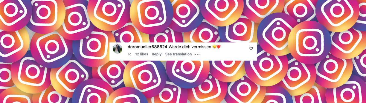 Nutzer-Kommentar zu Michelles Abschied | Quelle: Instagram/michelle_aktuell