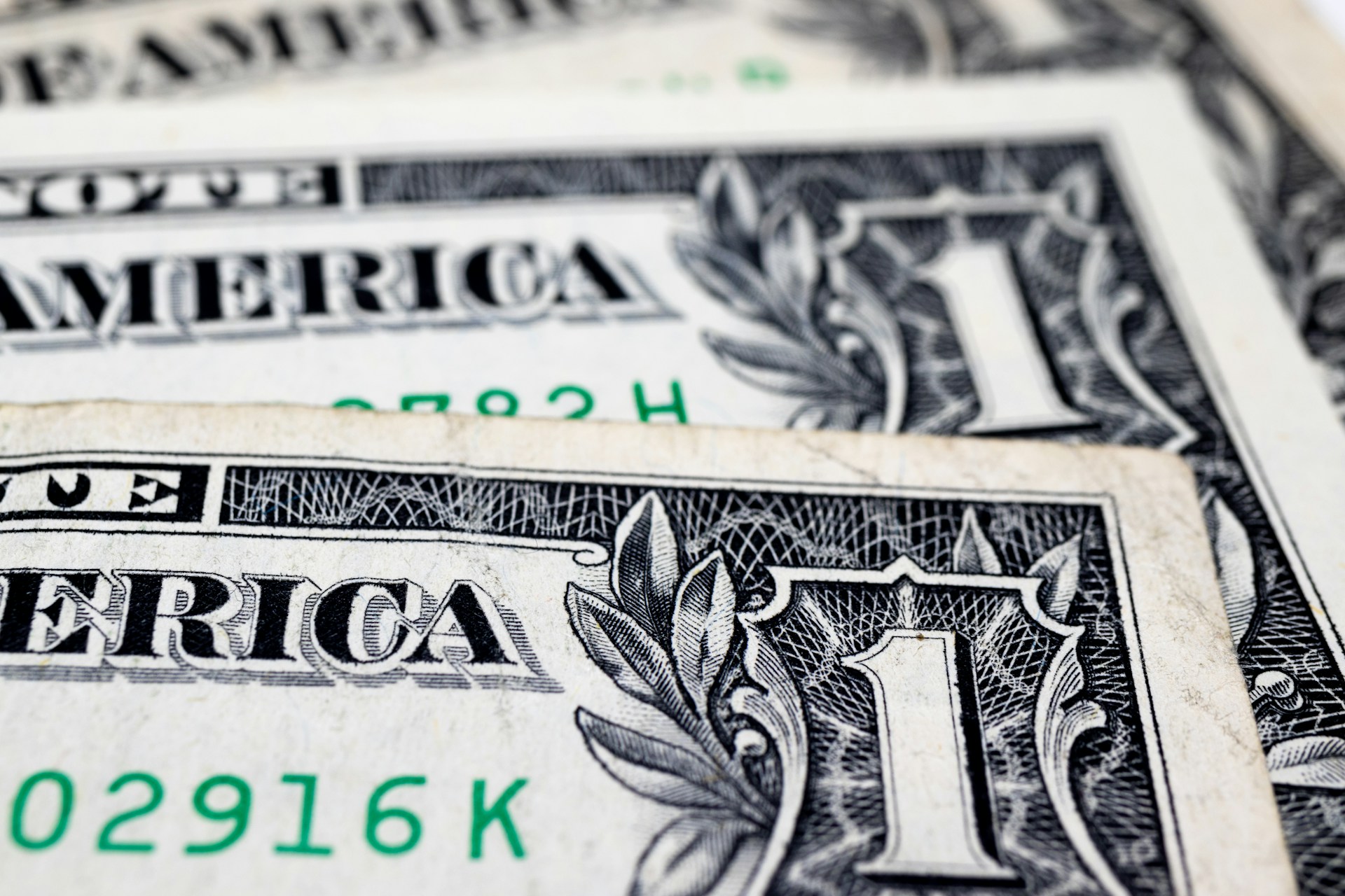 Nahaufnahme von Dollarscheinen | Quelle: Unsplash