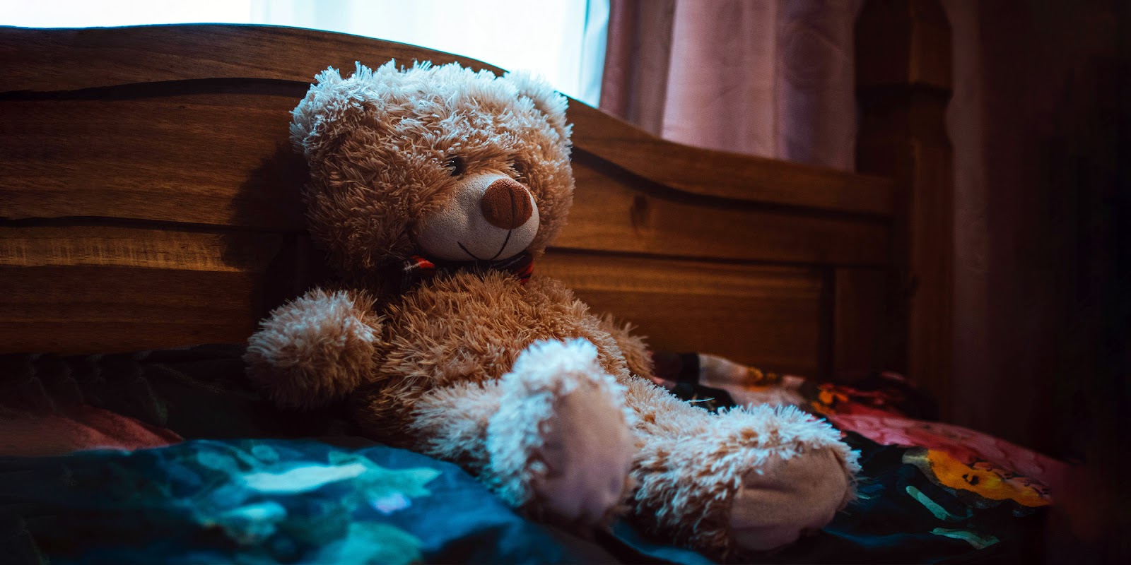 Ein Teddybär | Quelle: Pexels