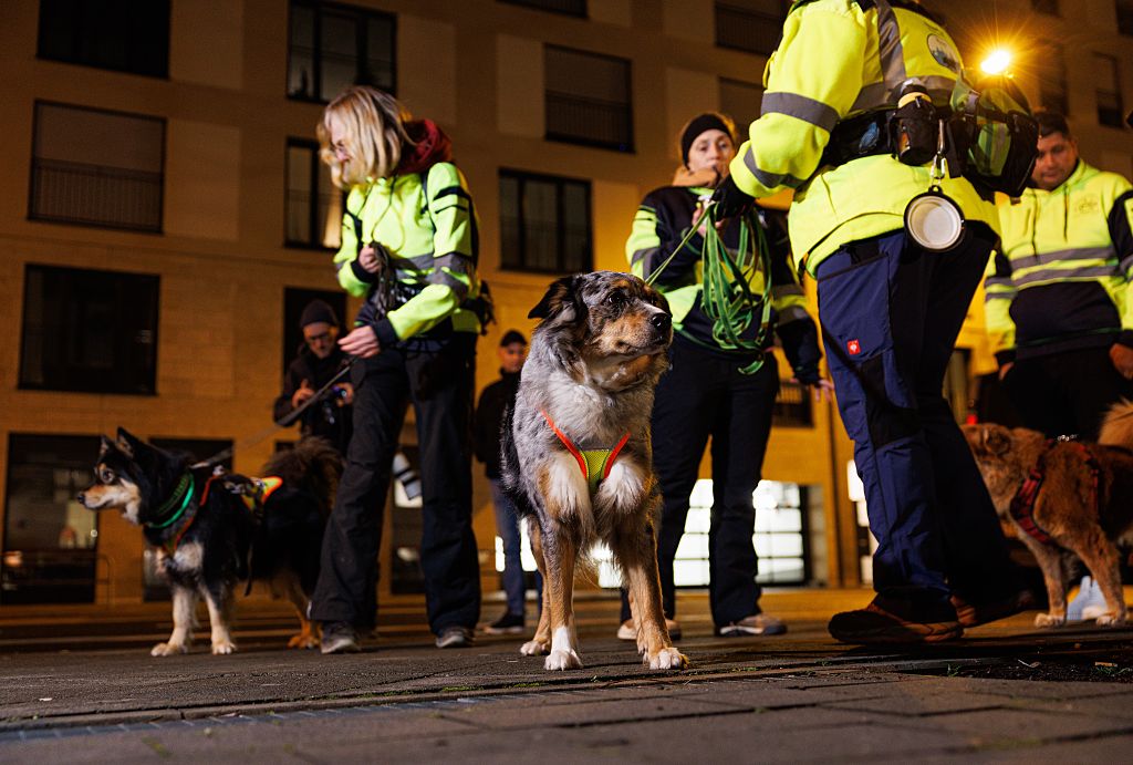 15. Januar 2026, Hessen, Frankfurt am Main: Suchhunde und Hundeführer stehen vor der Weißfrauenschule. | Quelle: Getty Images