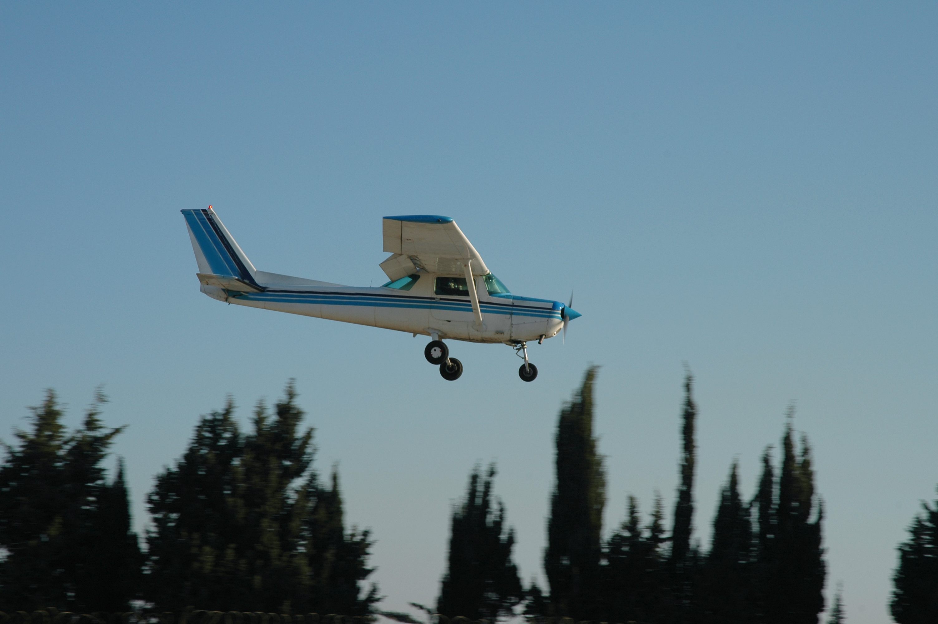 Luftaufnahme einer landenden Cessna im Wald | Quelle: Getty Images