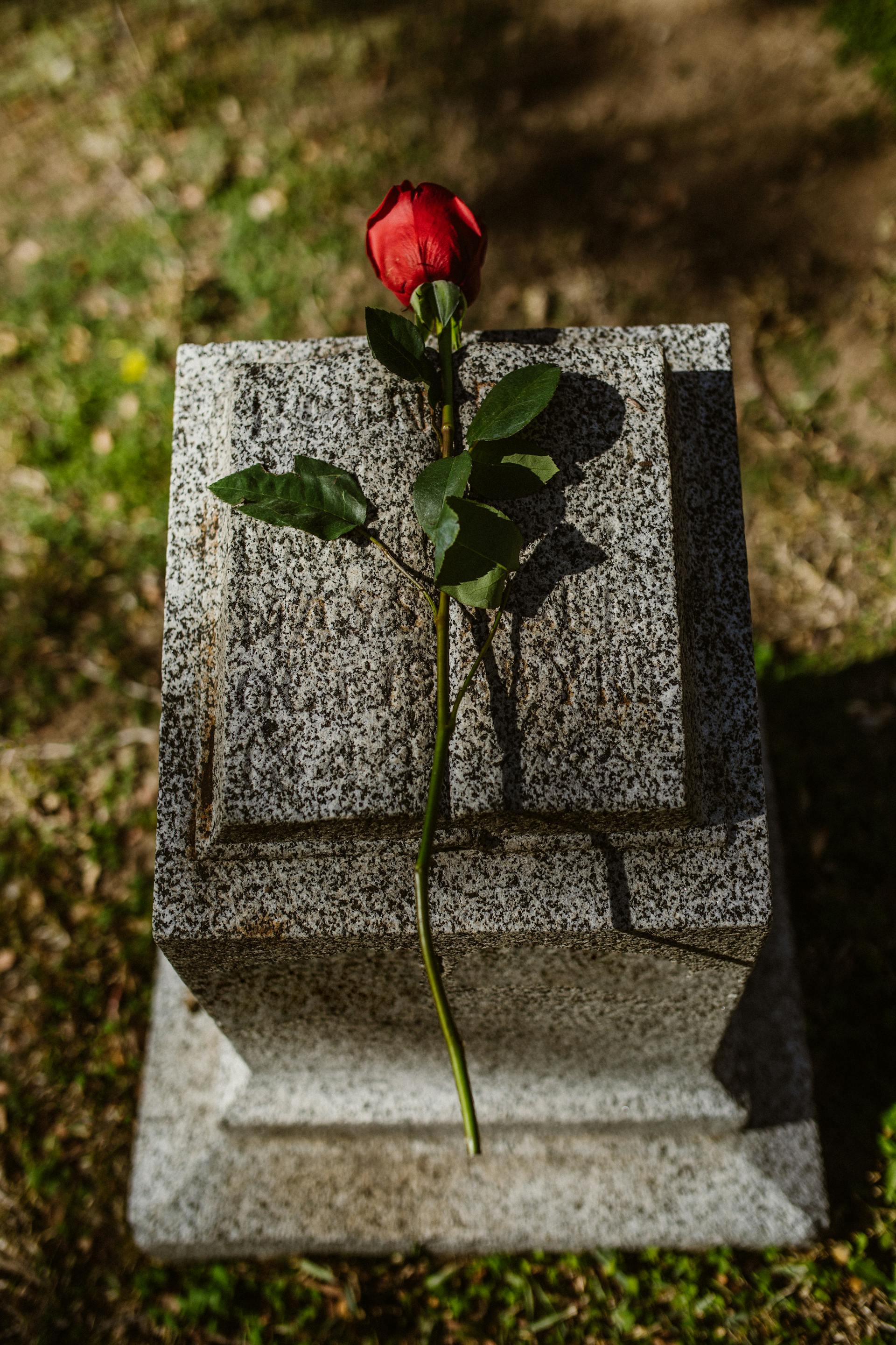 Eine rote Rose auf einem Grabstein | Quelle: Pexels