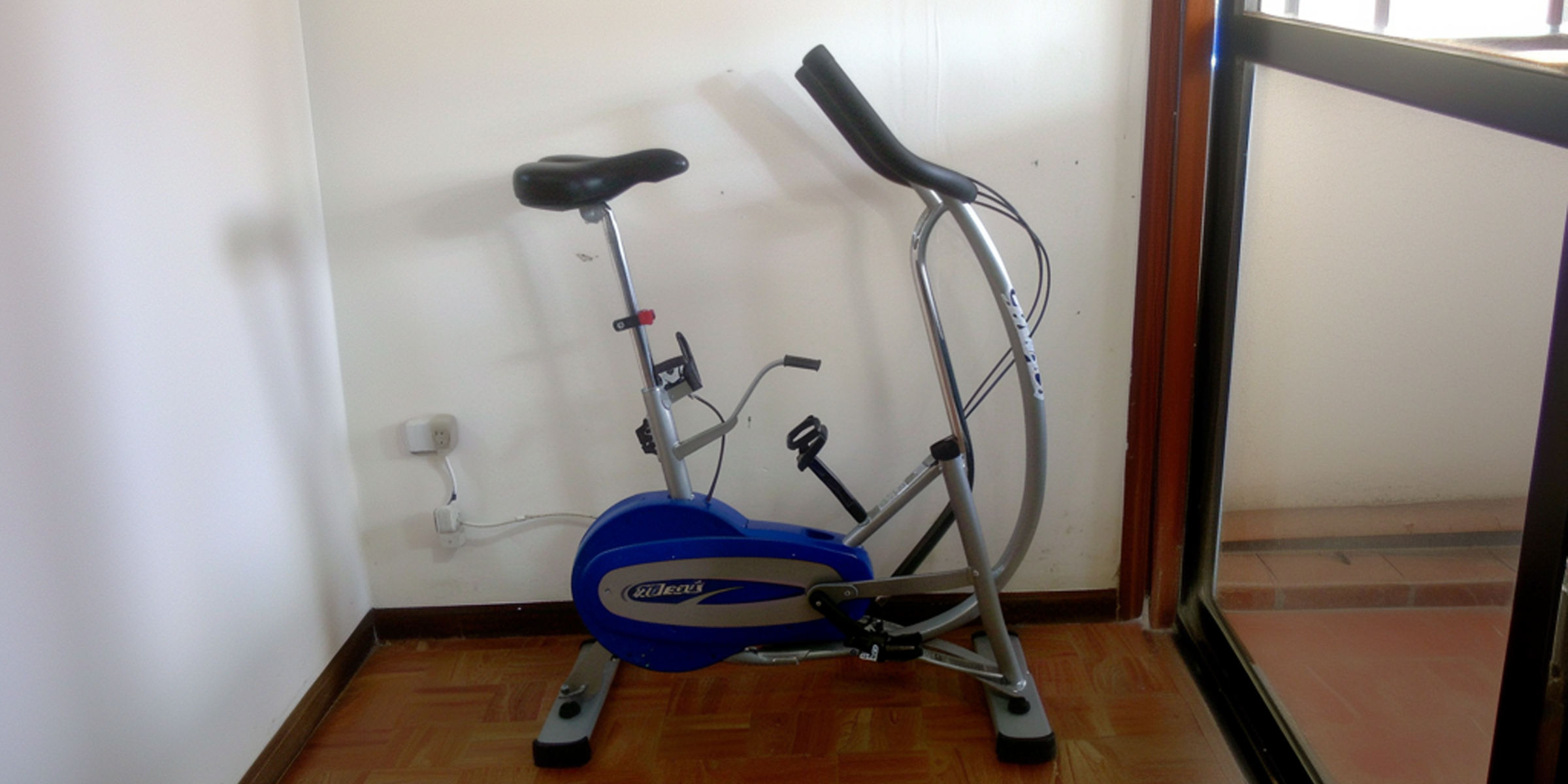 Ein ganz normaler Heimtrainer | Quelle: Gogirok