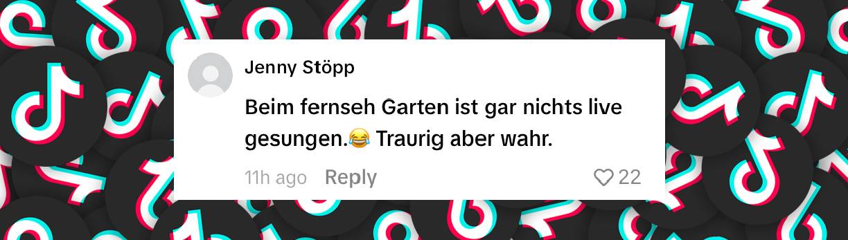 Fans kommentieren den Vorfall | Quelle: tiktok.com/@andytainer/video/7648621000627719456?_r=1&_t=ZS-9723J9Nbe8S