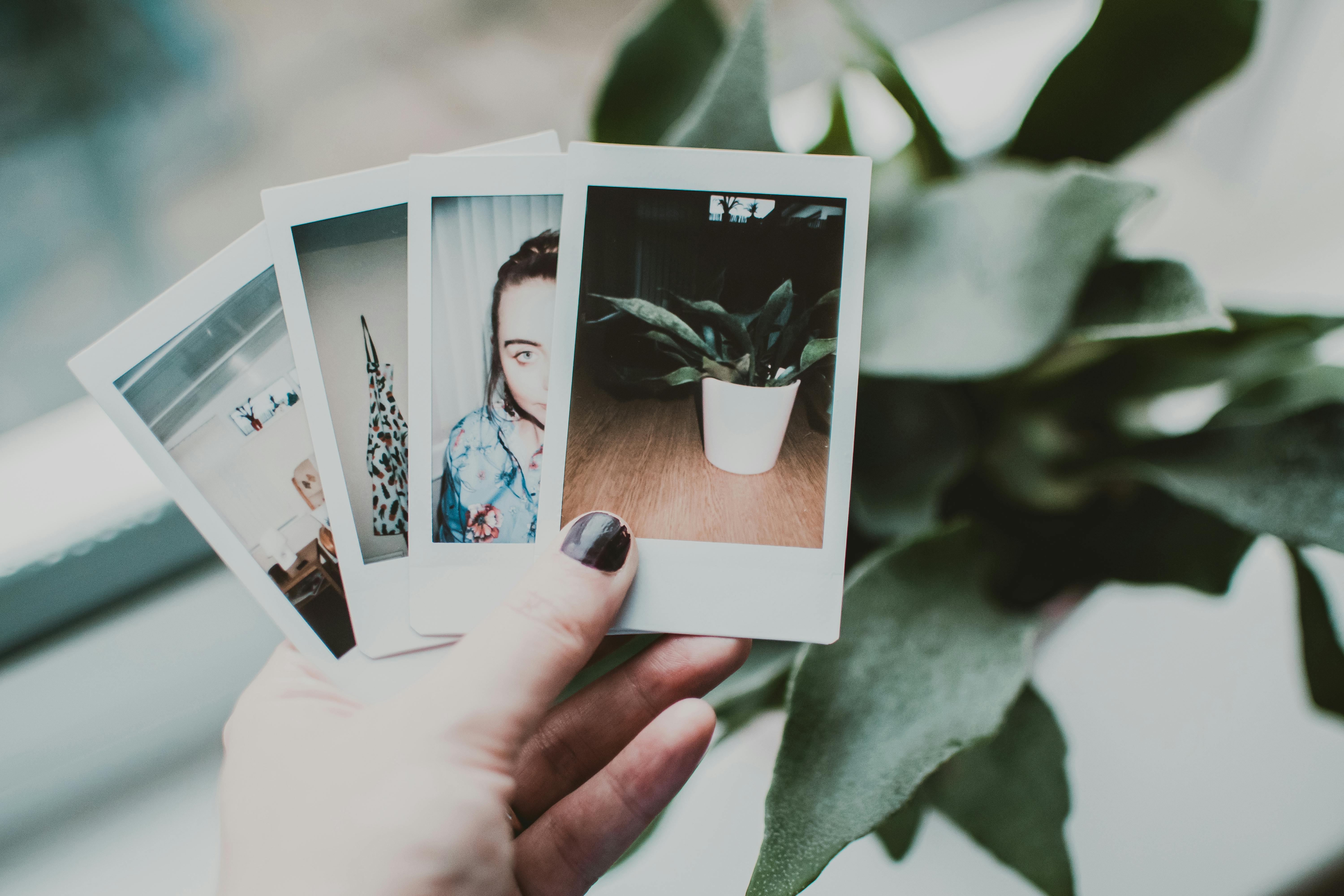 Eine Person mit Polaroid-Fotos | Quelle: Pexels