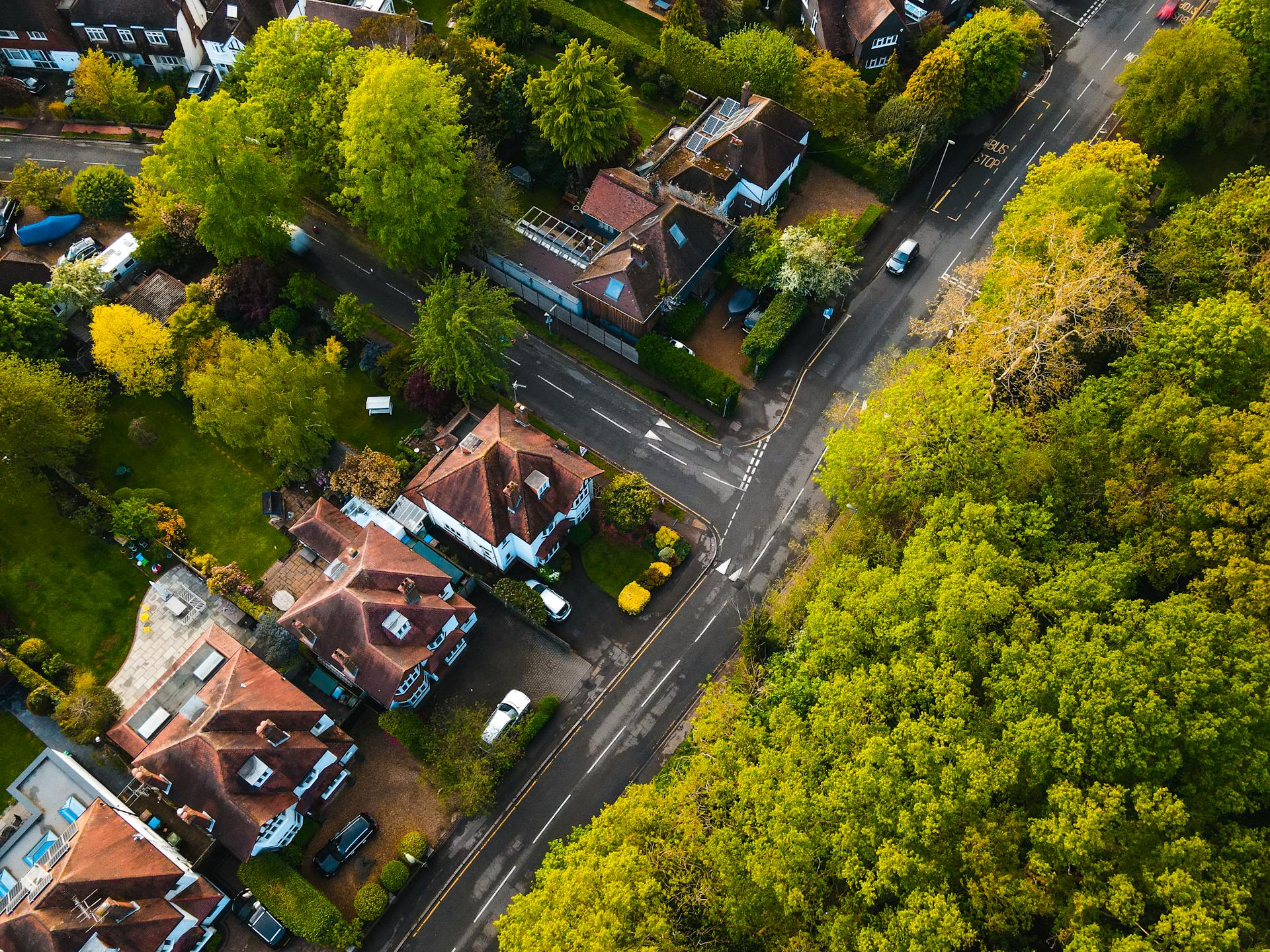 Eine Nachbarschaft | Quelle: Pexels