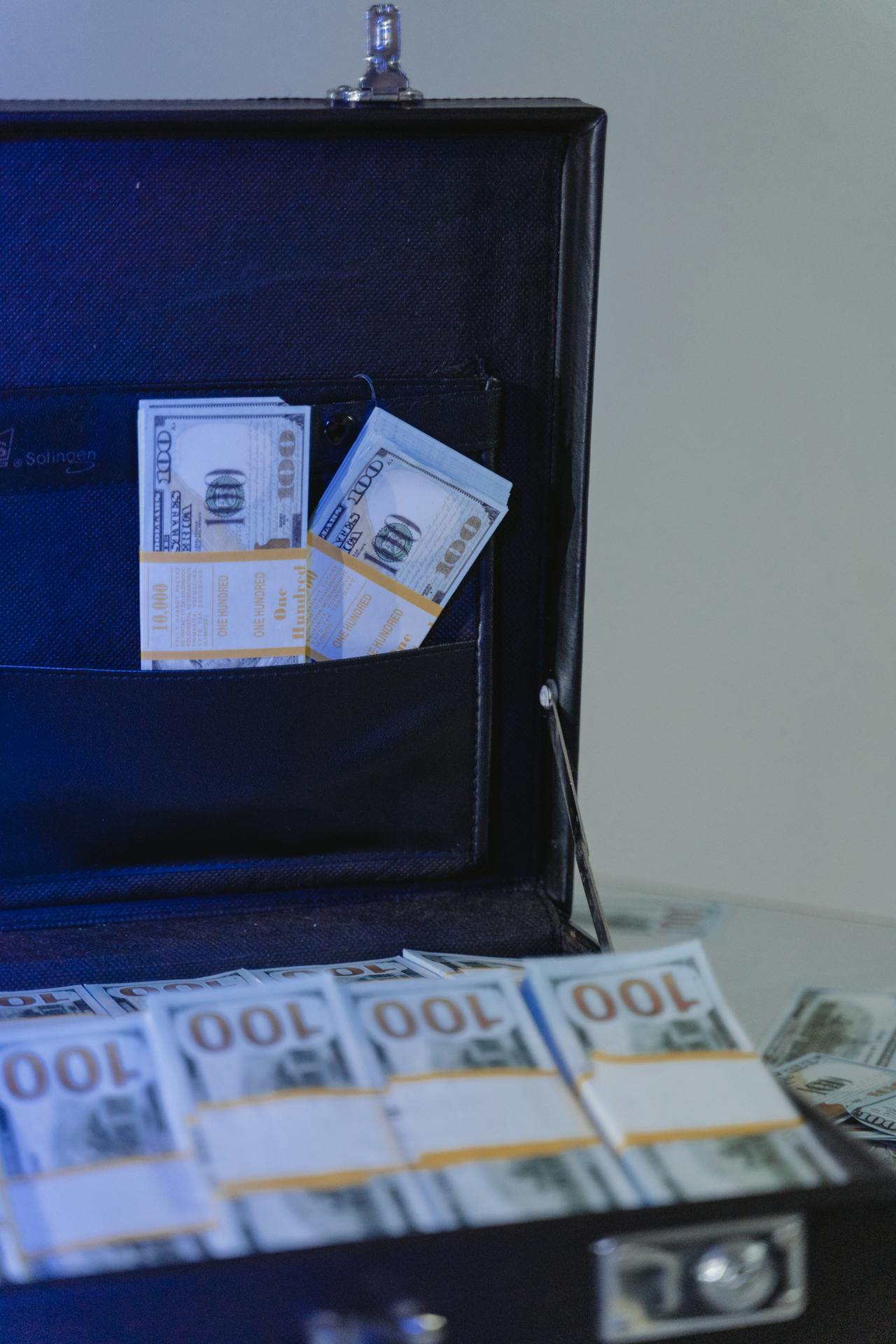 Dollarscheine in einer Aktentasche | Quelle: Pexels