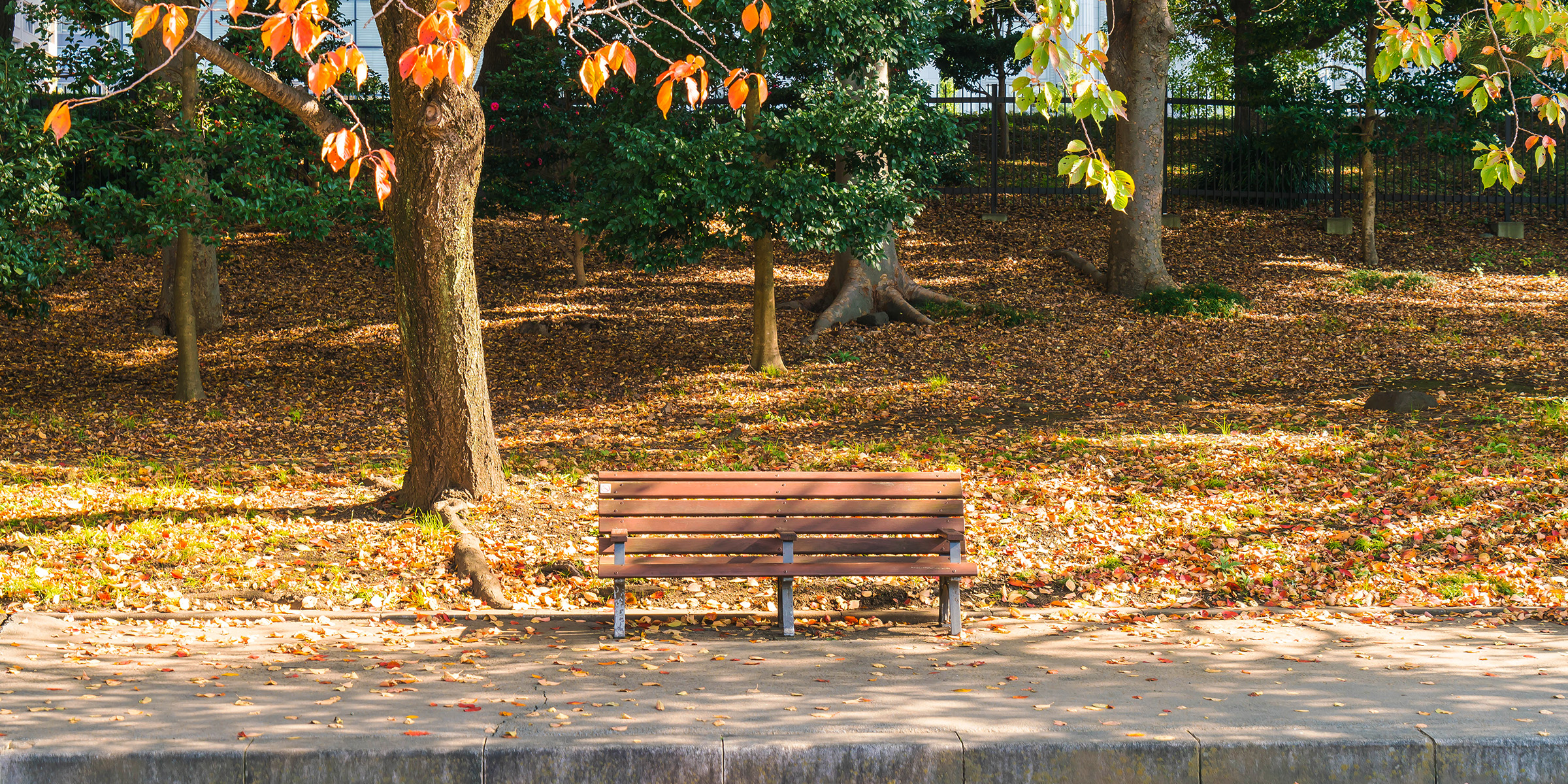 Eine Bank in einem herbstlichen Park | Quelle: Freepik