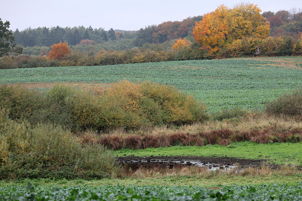 16. Oktober 2025, Mecklenburg-Vorpommern, Klein Upahl: Ein Wasserloch in einem Feld in der Nähe von Klein Upahl, wo die Polizei am Vortag intensiv nach Beweisen gesucht hatte. | Quelle: Getty Images